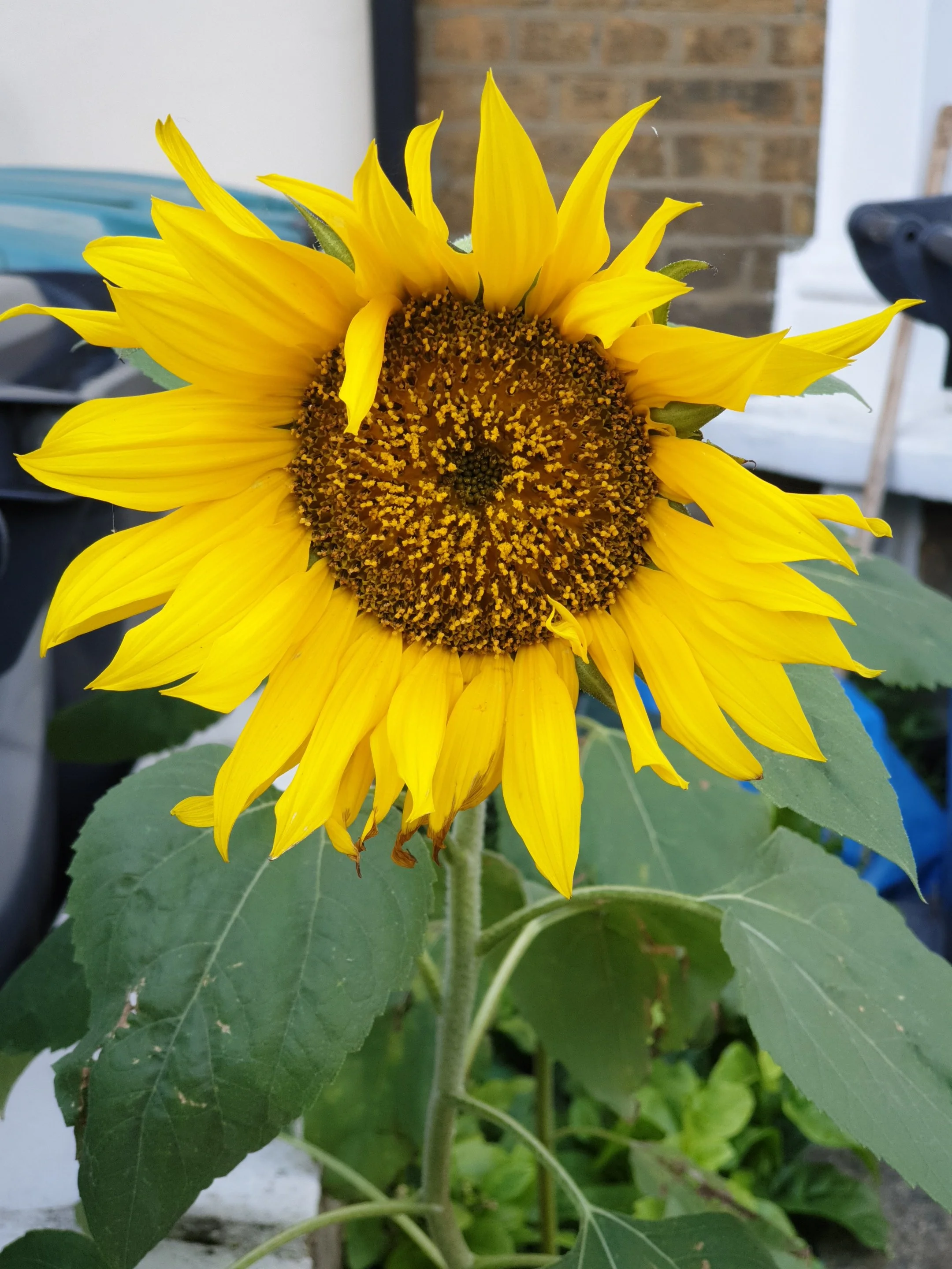 20181018_083859.webp