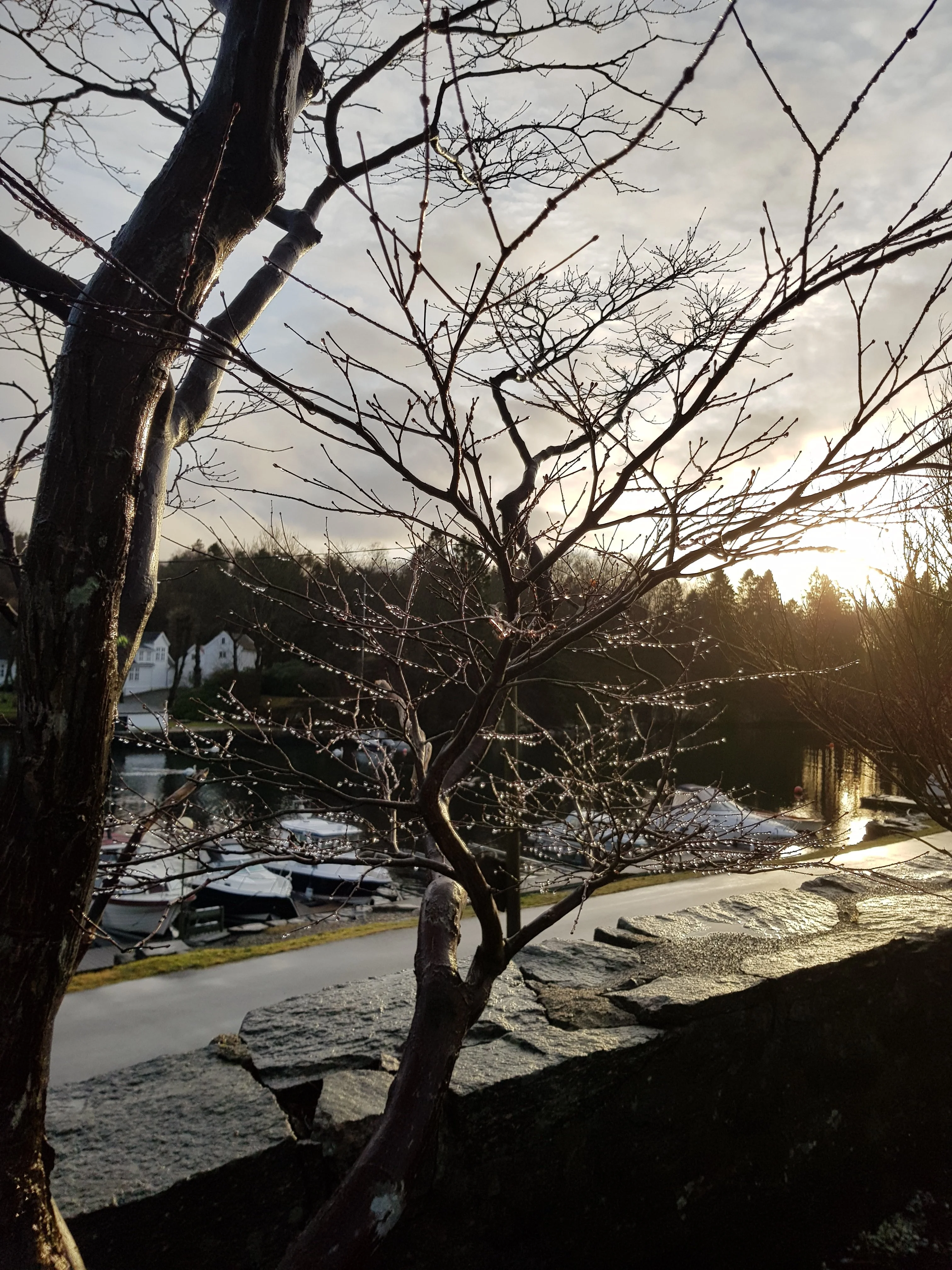 20181228_122450.webp