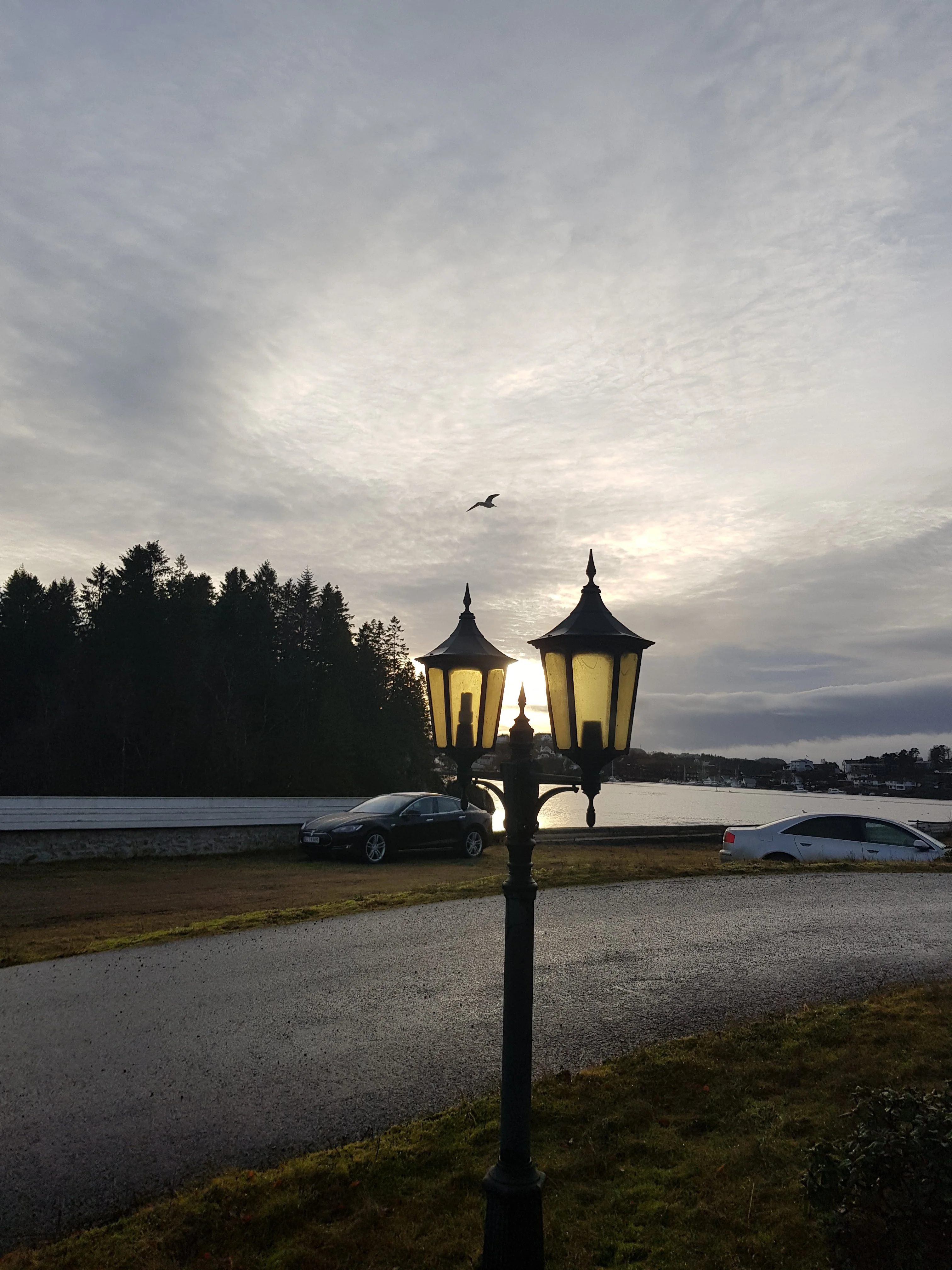 20181228_130039.webp