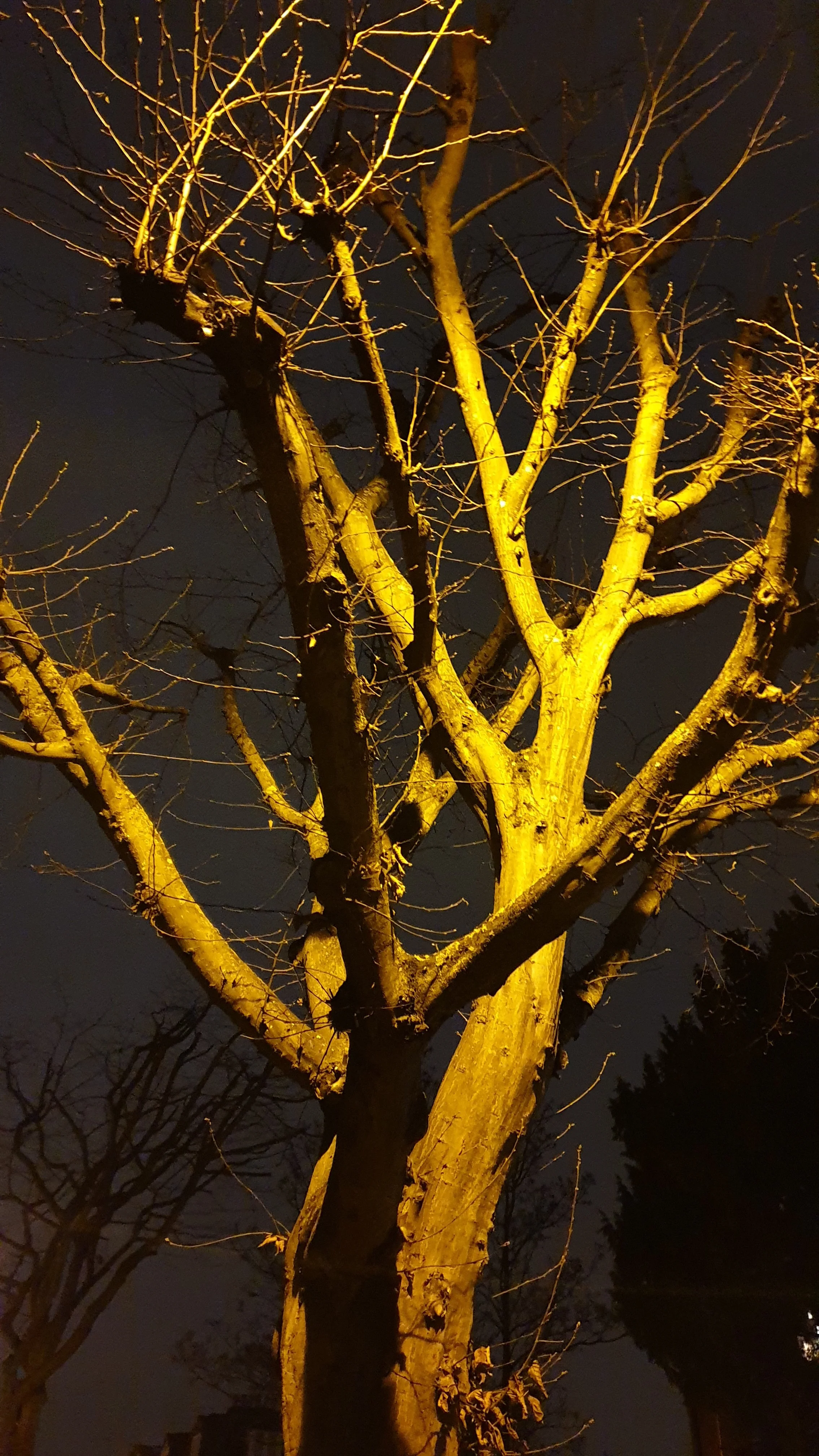 20190105_191544.webp