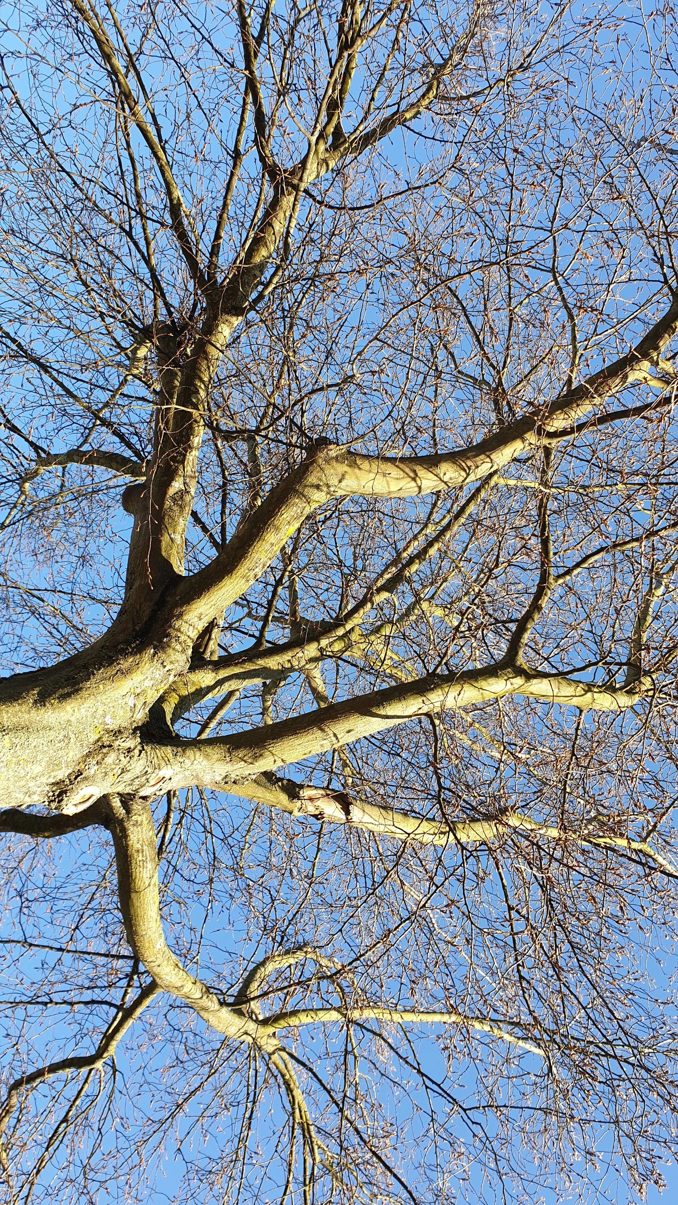 20190117_132319.webp