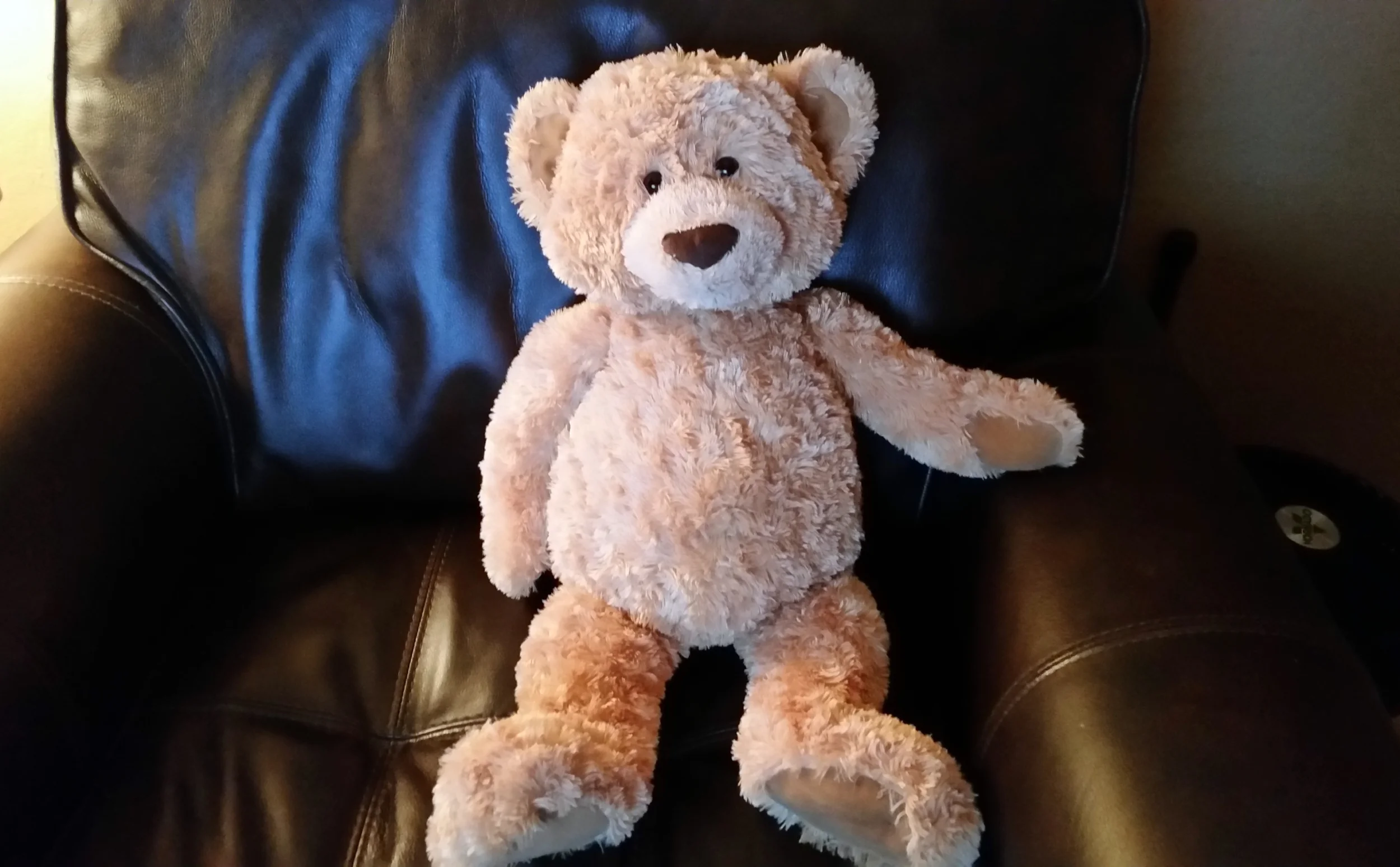 20190216_203456 (1).webp