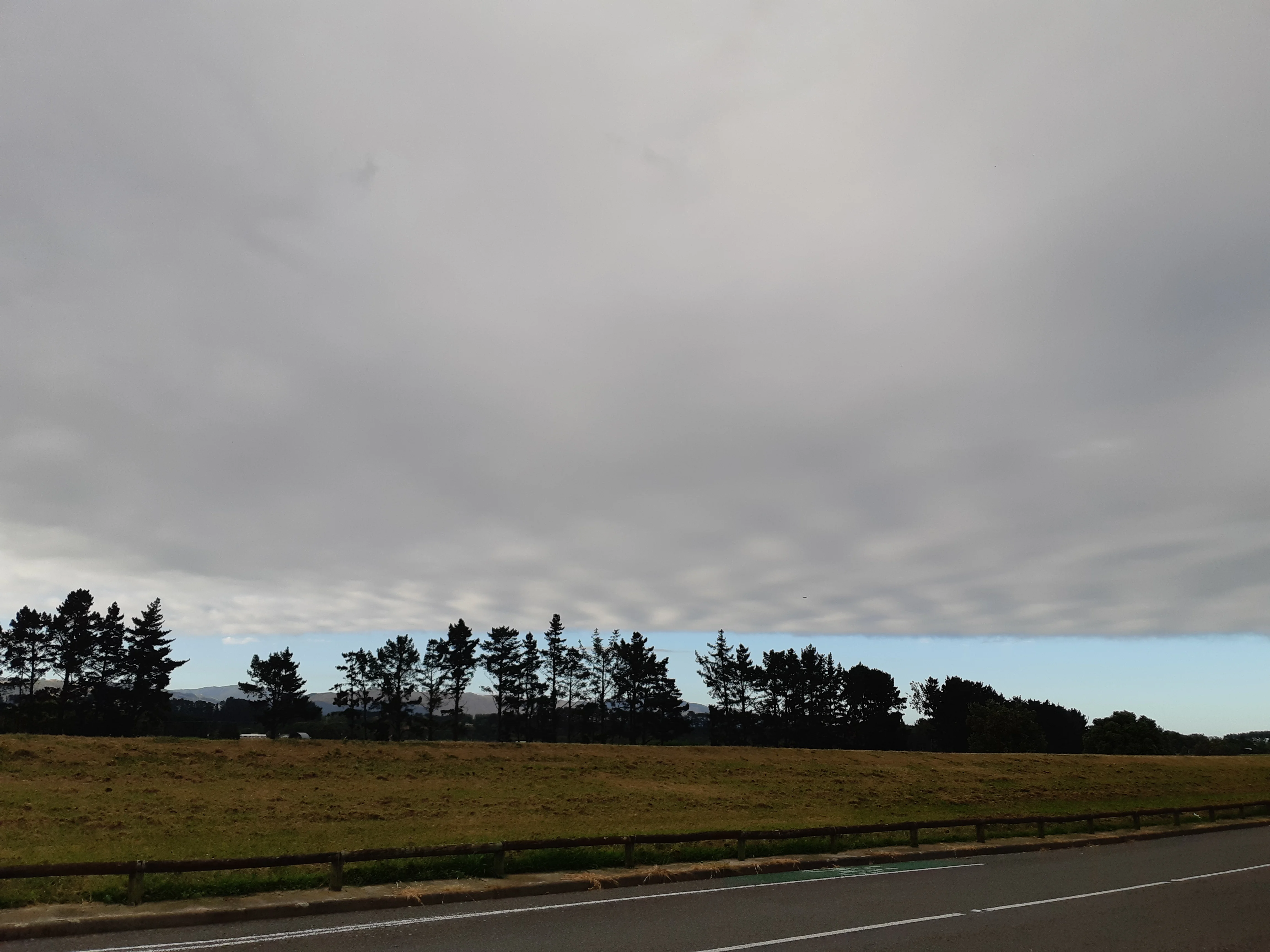20190221_084522.webp