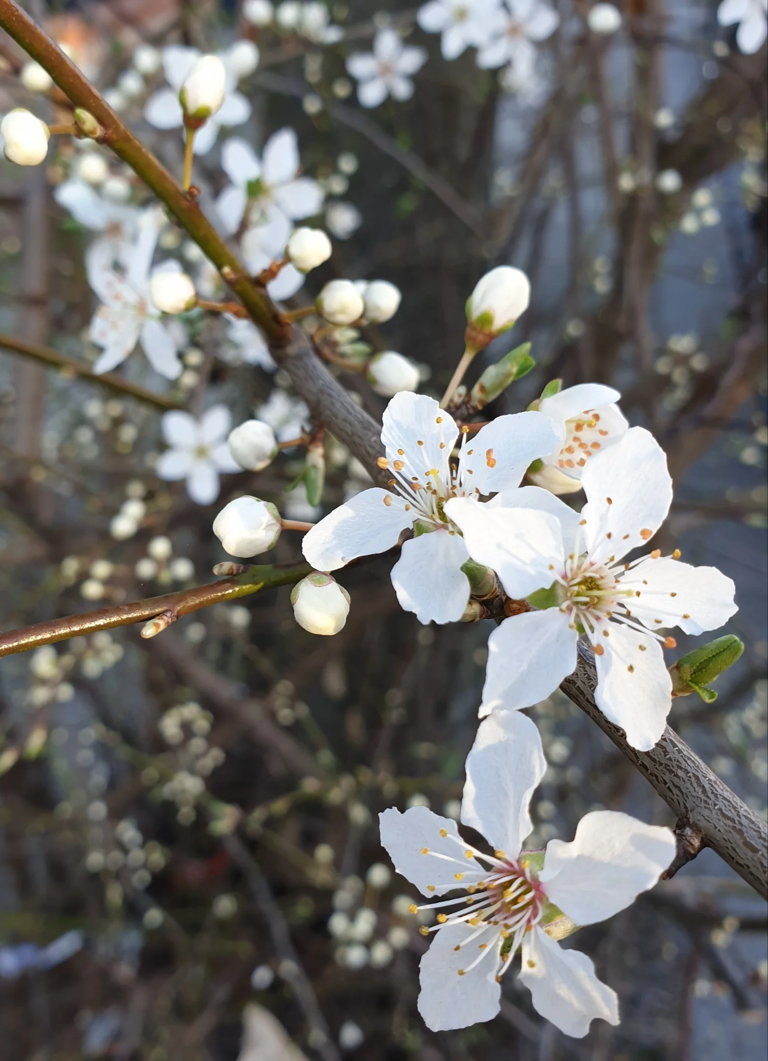 20190223_165744.webp