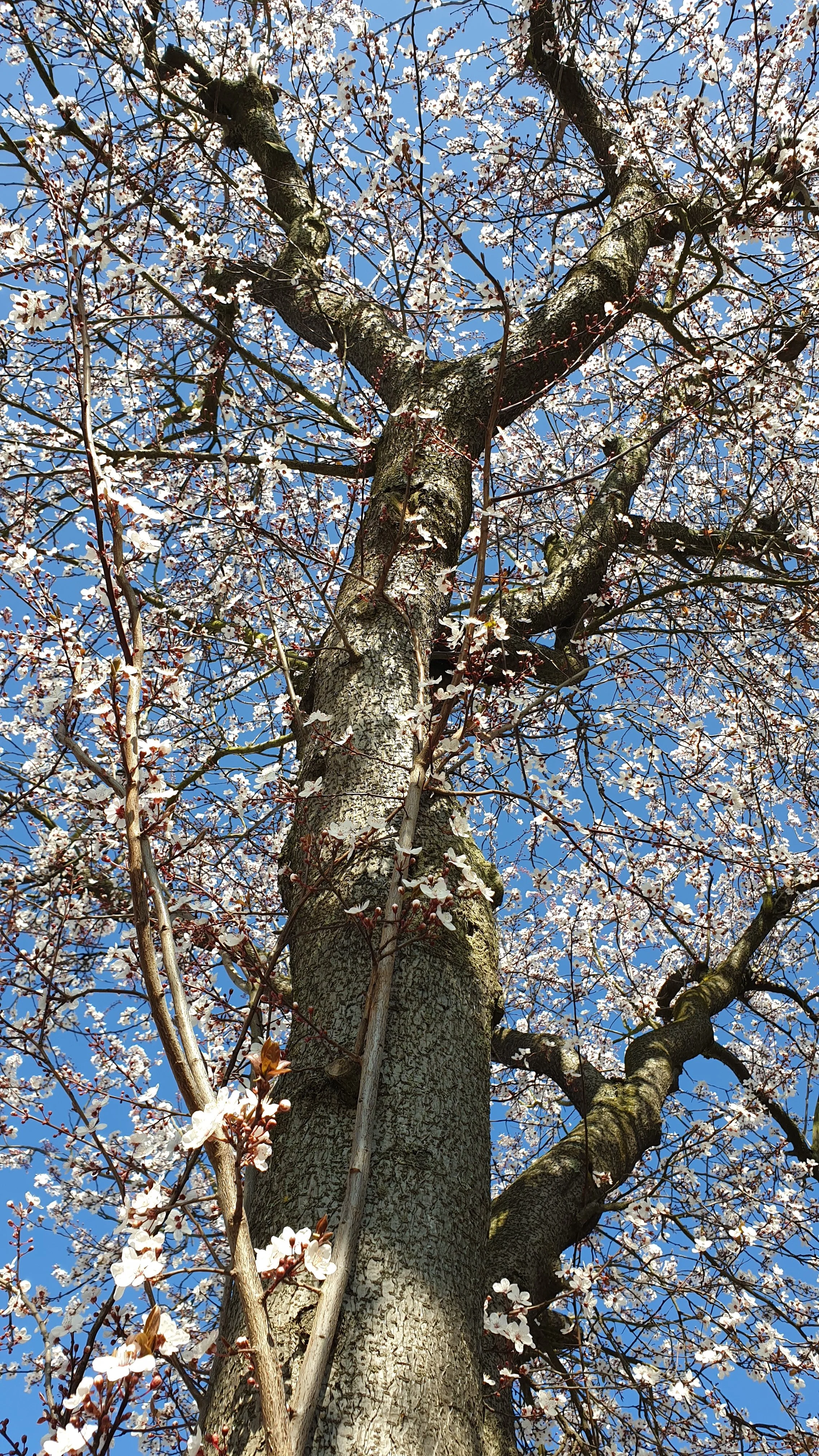 20190224_130446.webp