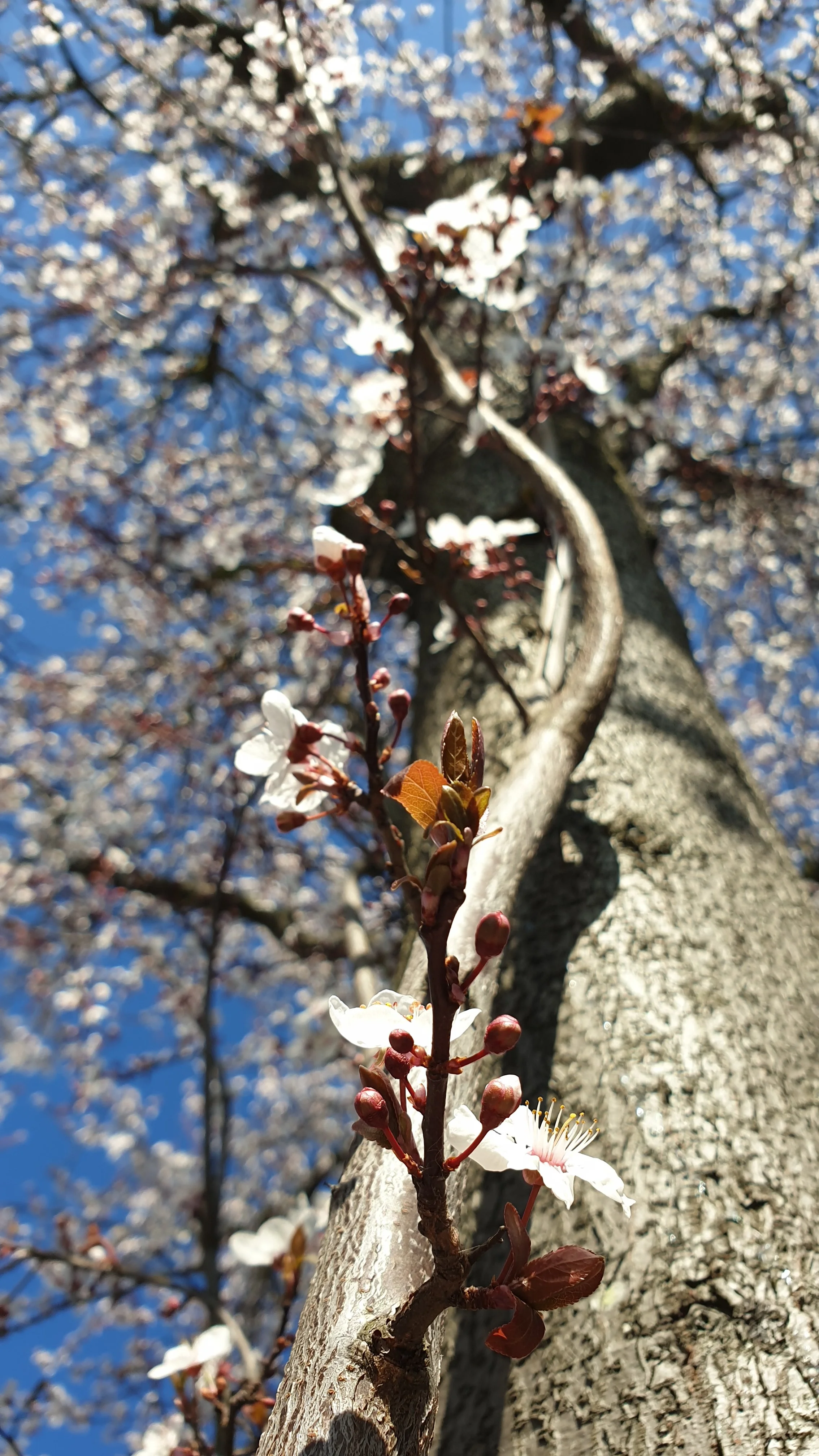20190224_130525.webp