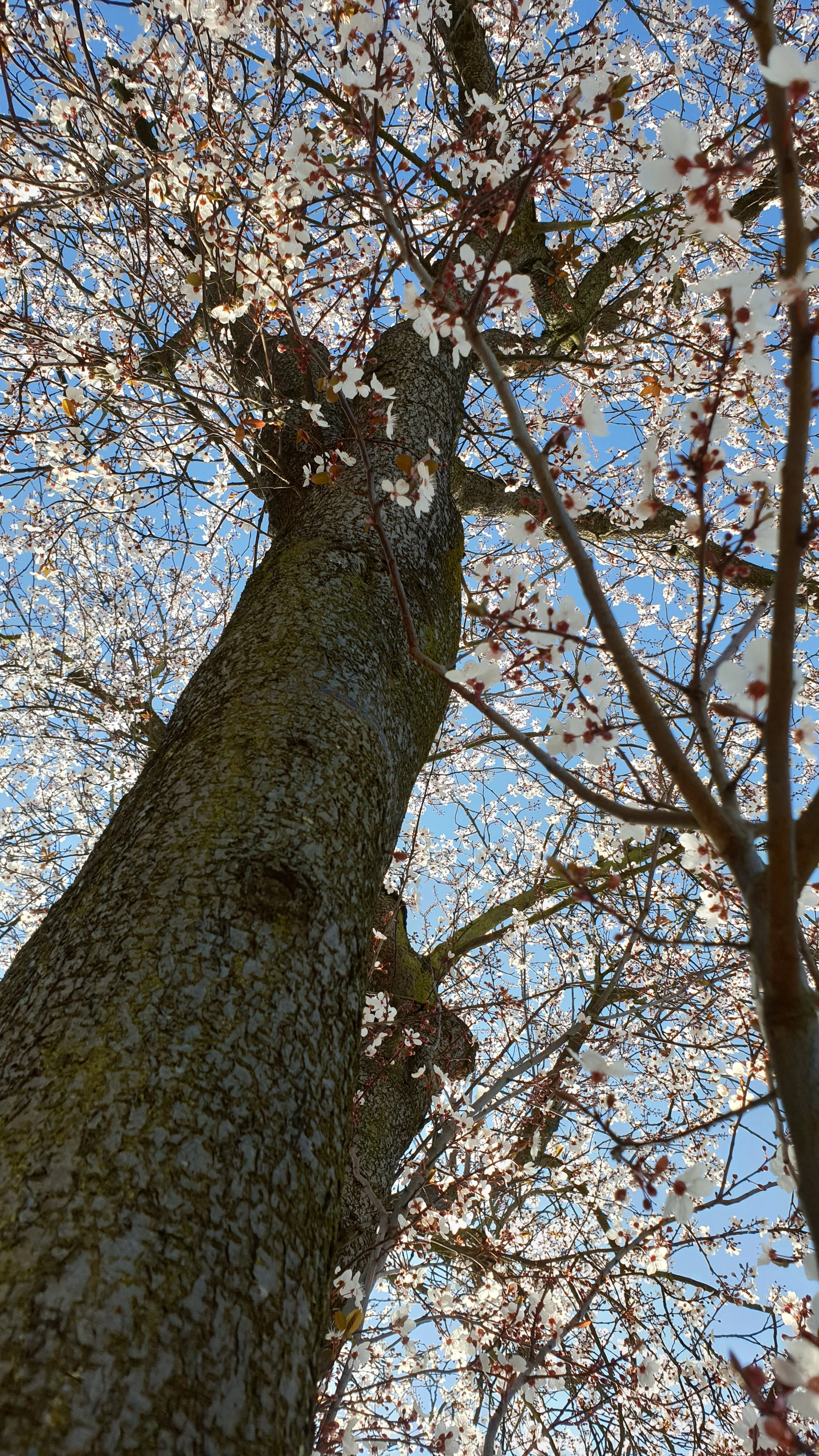 20190224_130551.webp