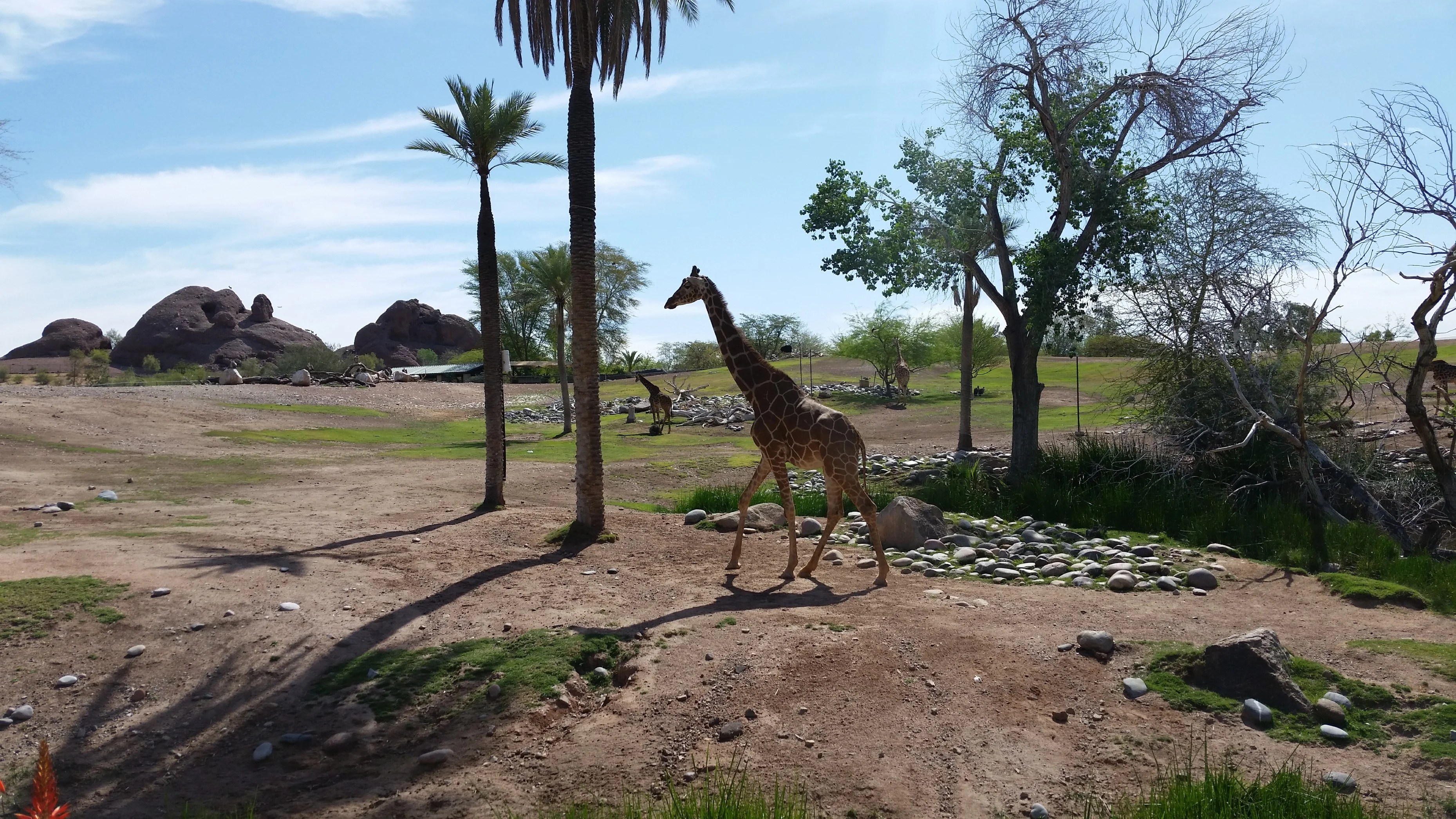 20190405_101546 (1).webp