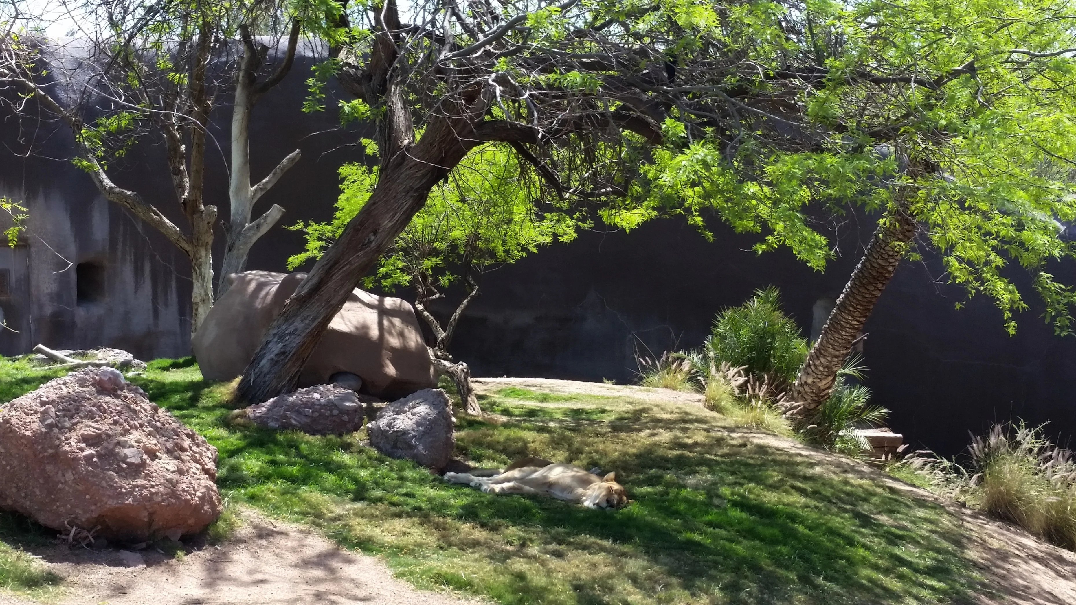 20190405_130319 (1).webp