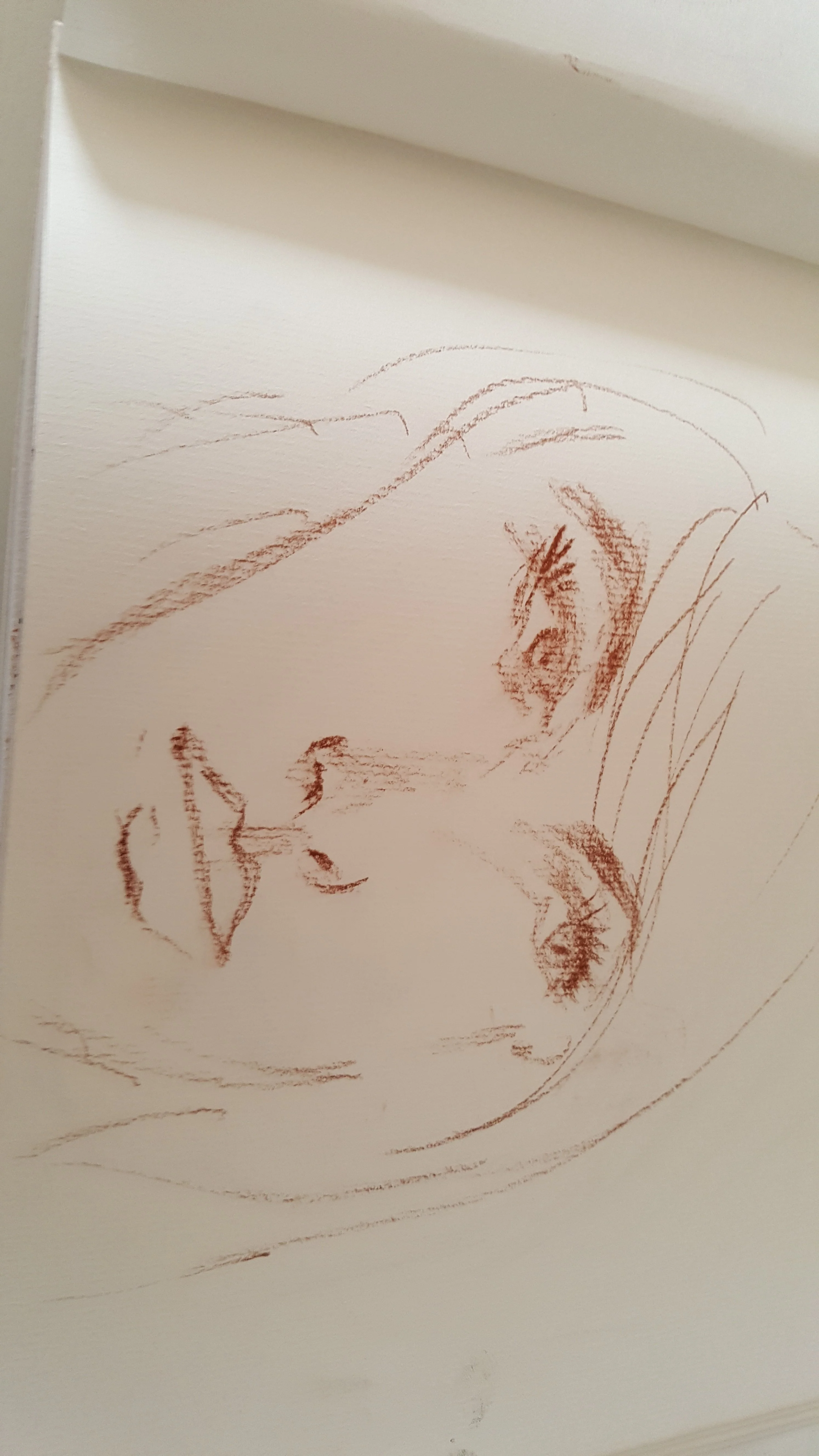 20190420_171717.webp