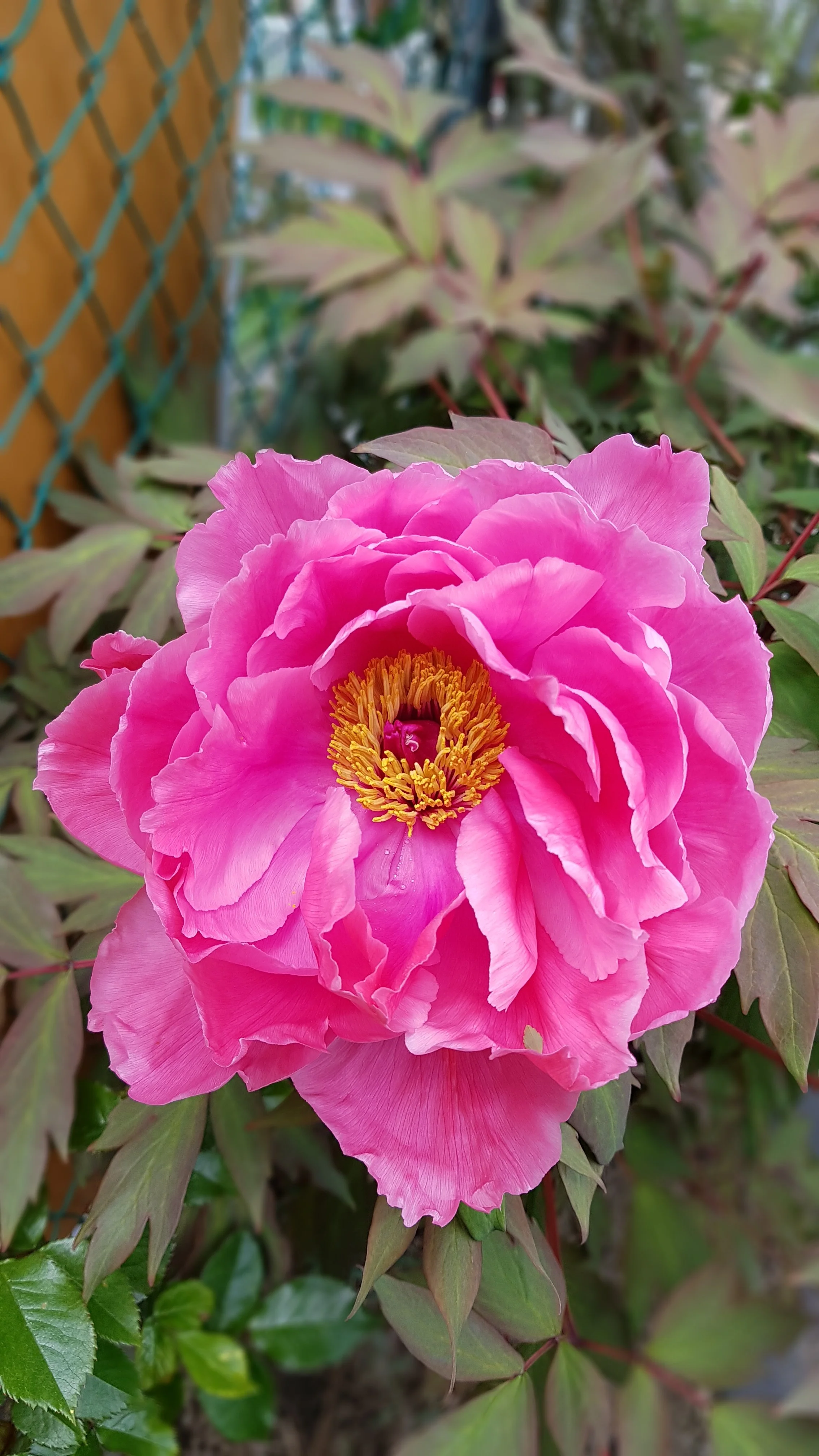20190504_125102.webp