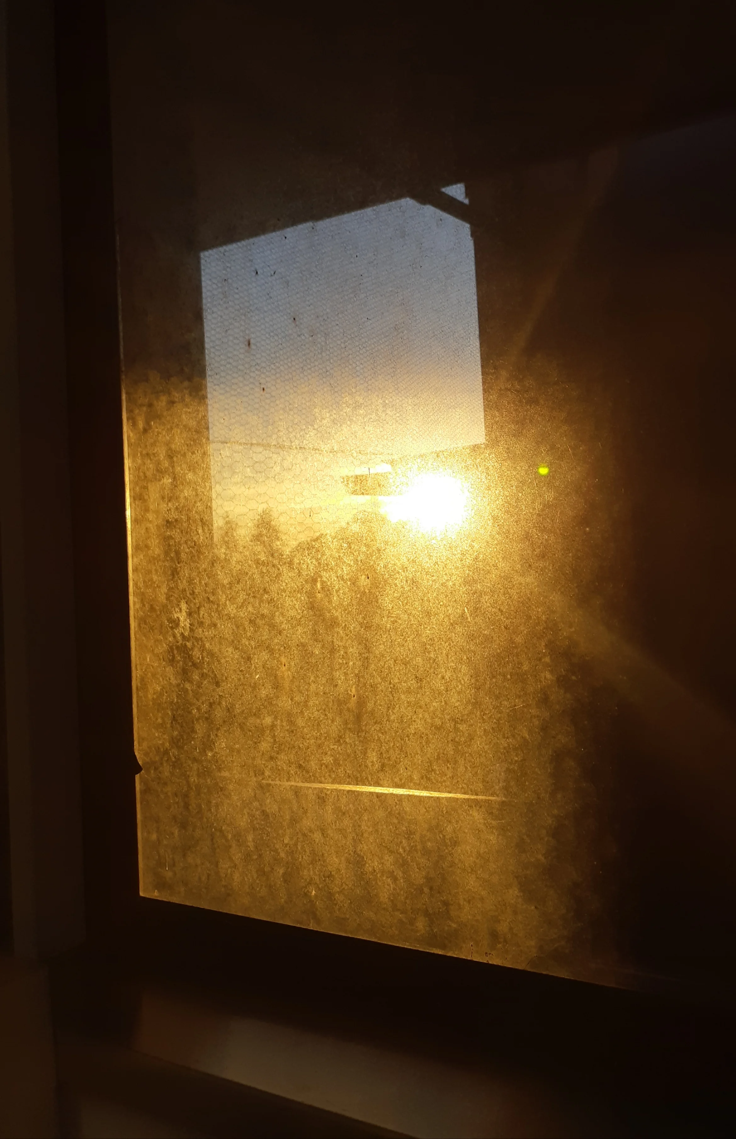20190507_170517.webp