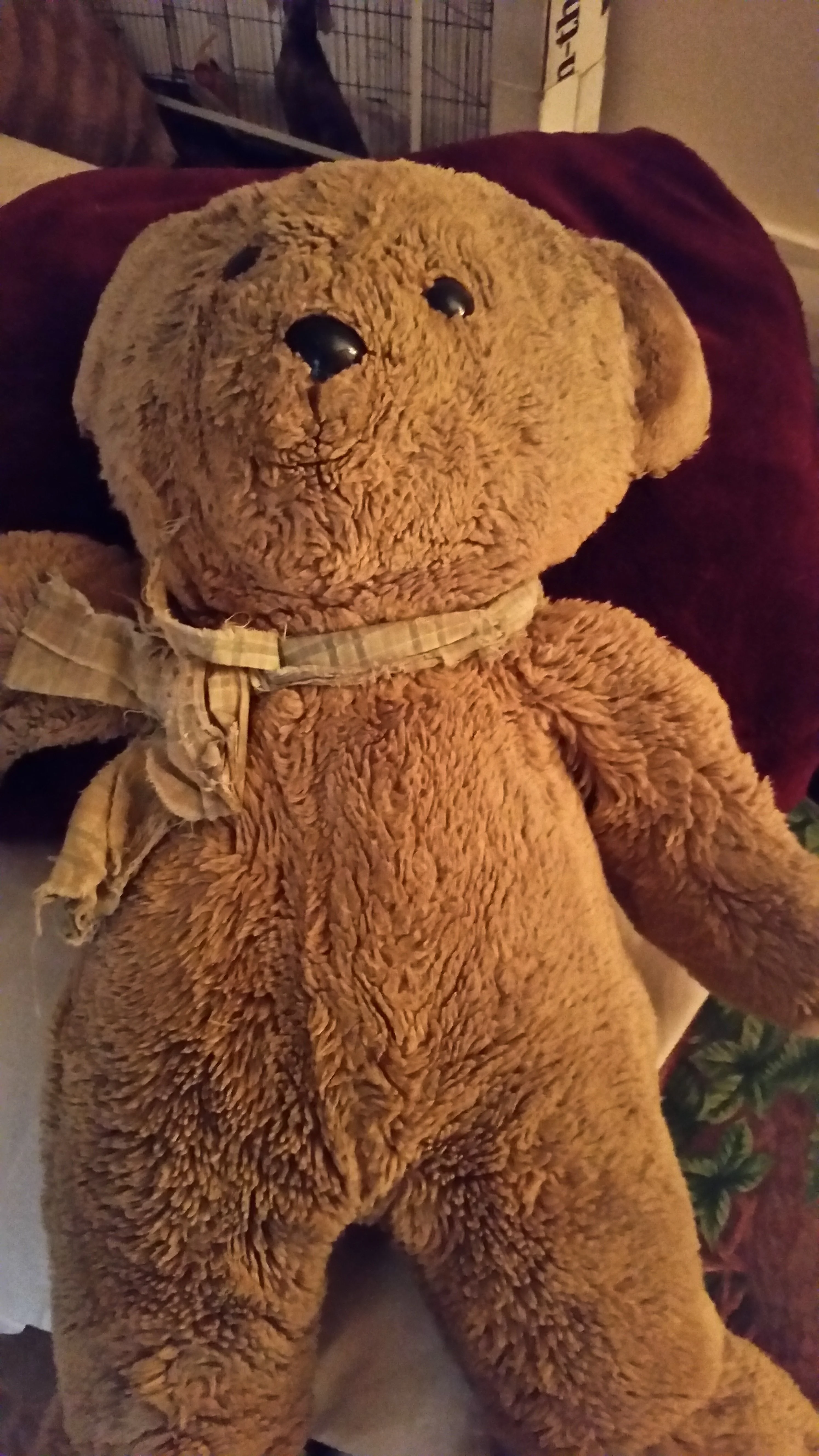 20190508_082423.webp