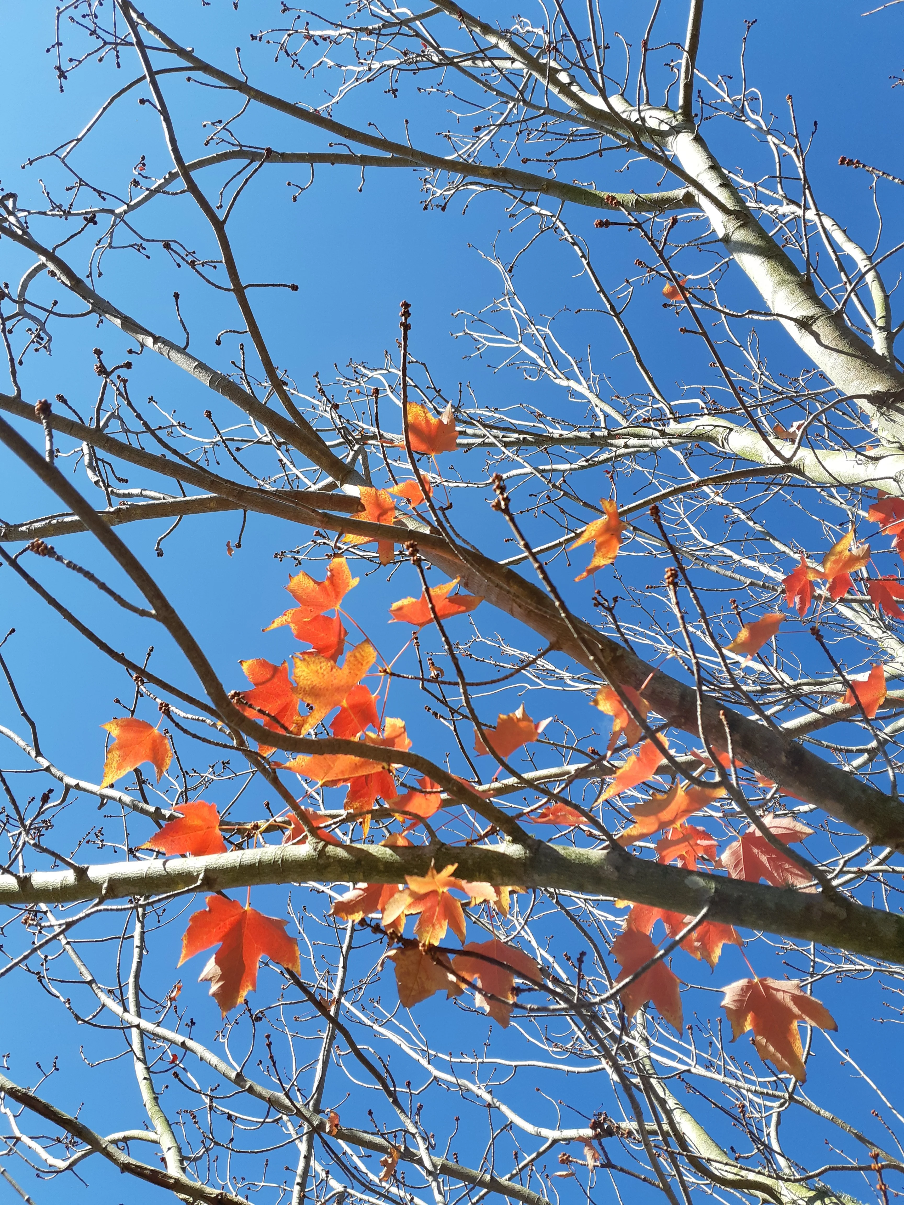 20190509_130042.webp