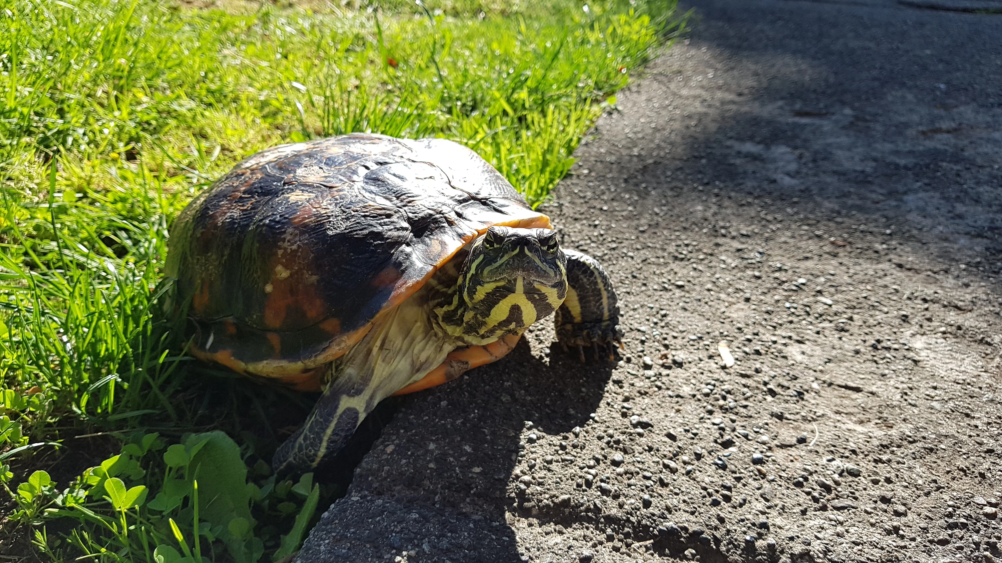 20190522_165909.webp