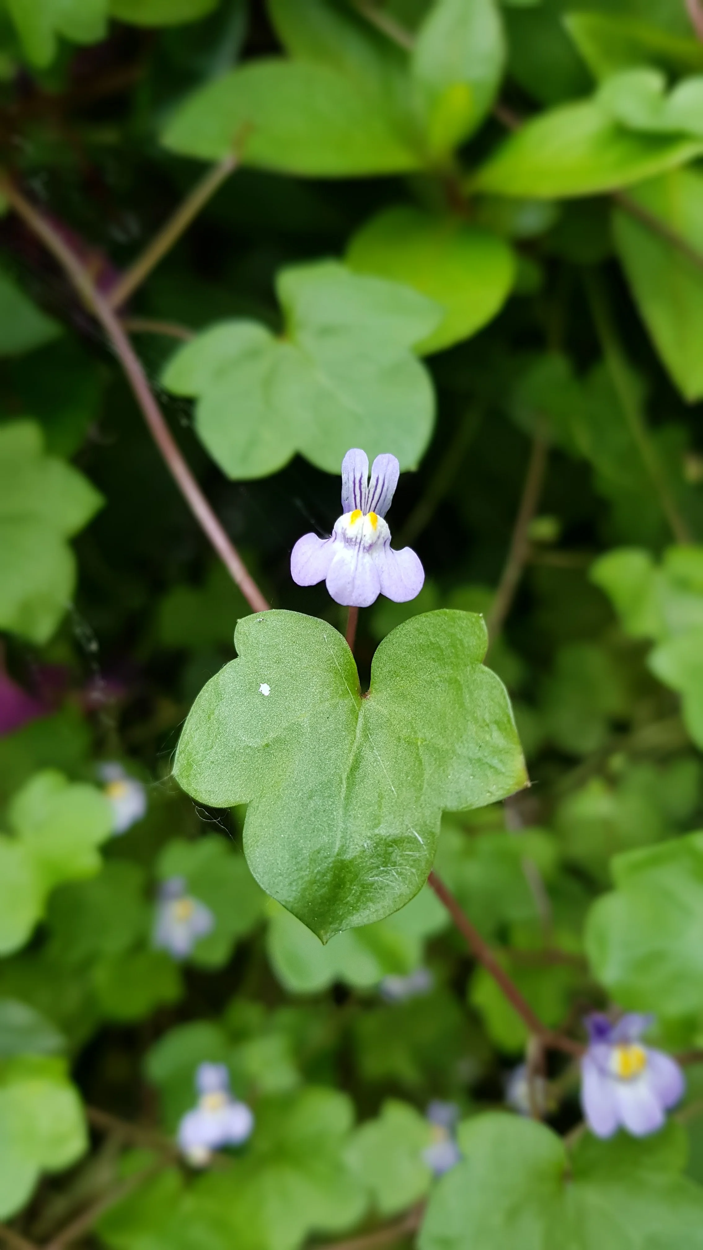 20190527_181841.webp