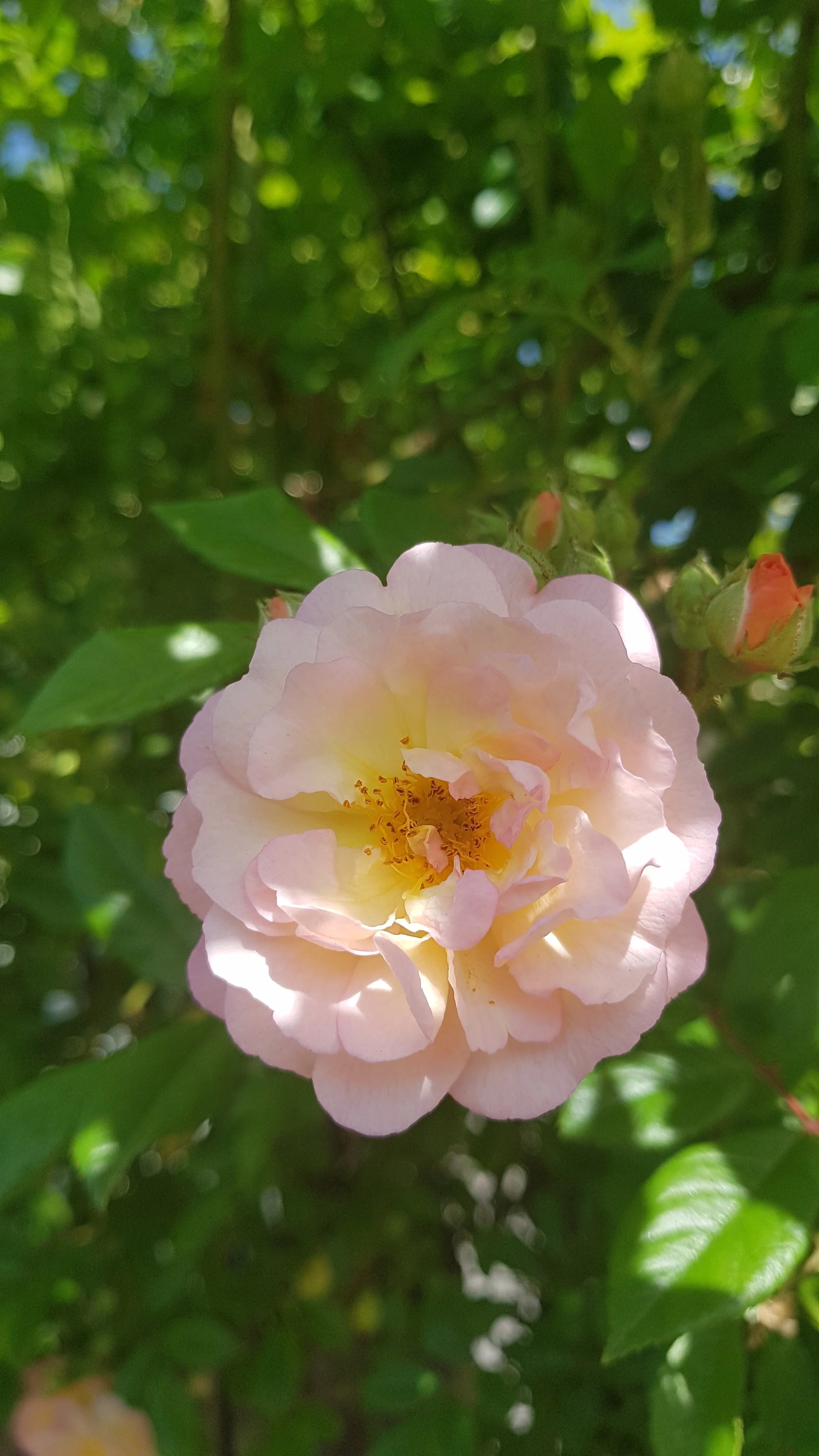 20190601_161753.webp