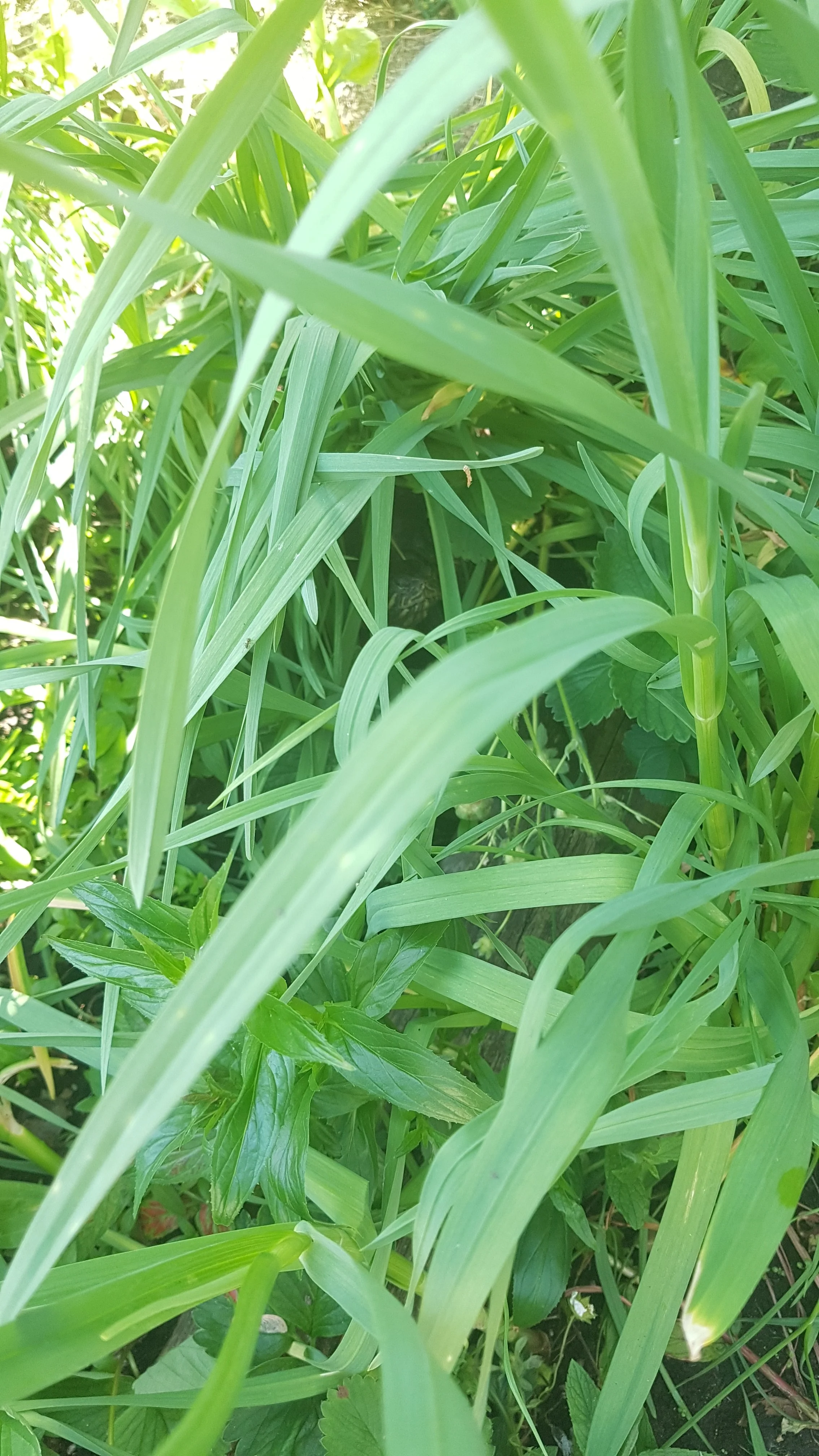 20190601_163730.webp