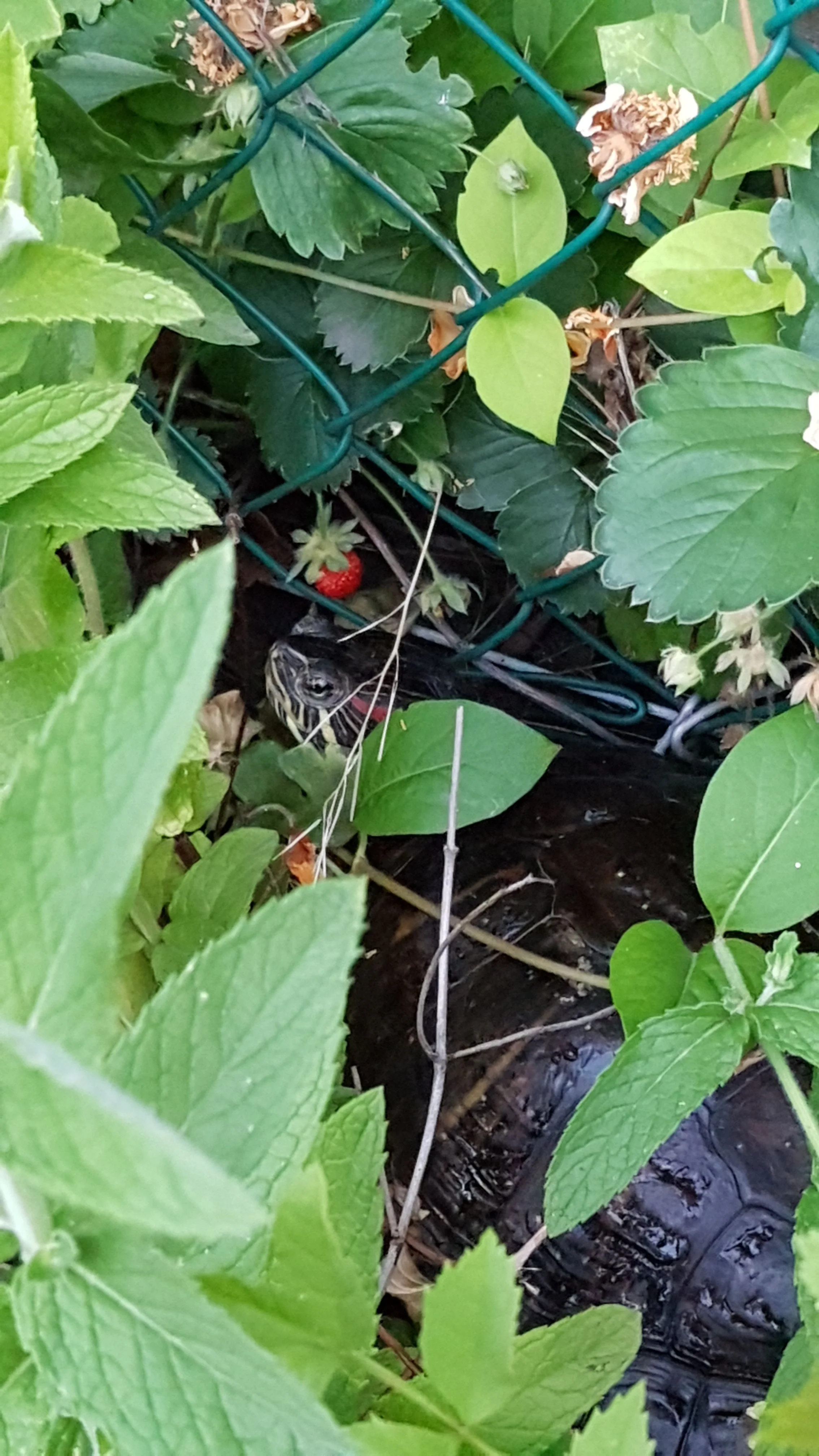 20190613_210930.webp