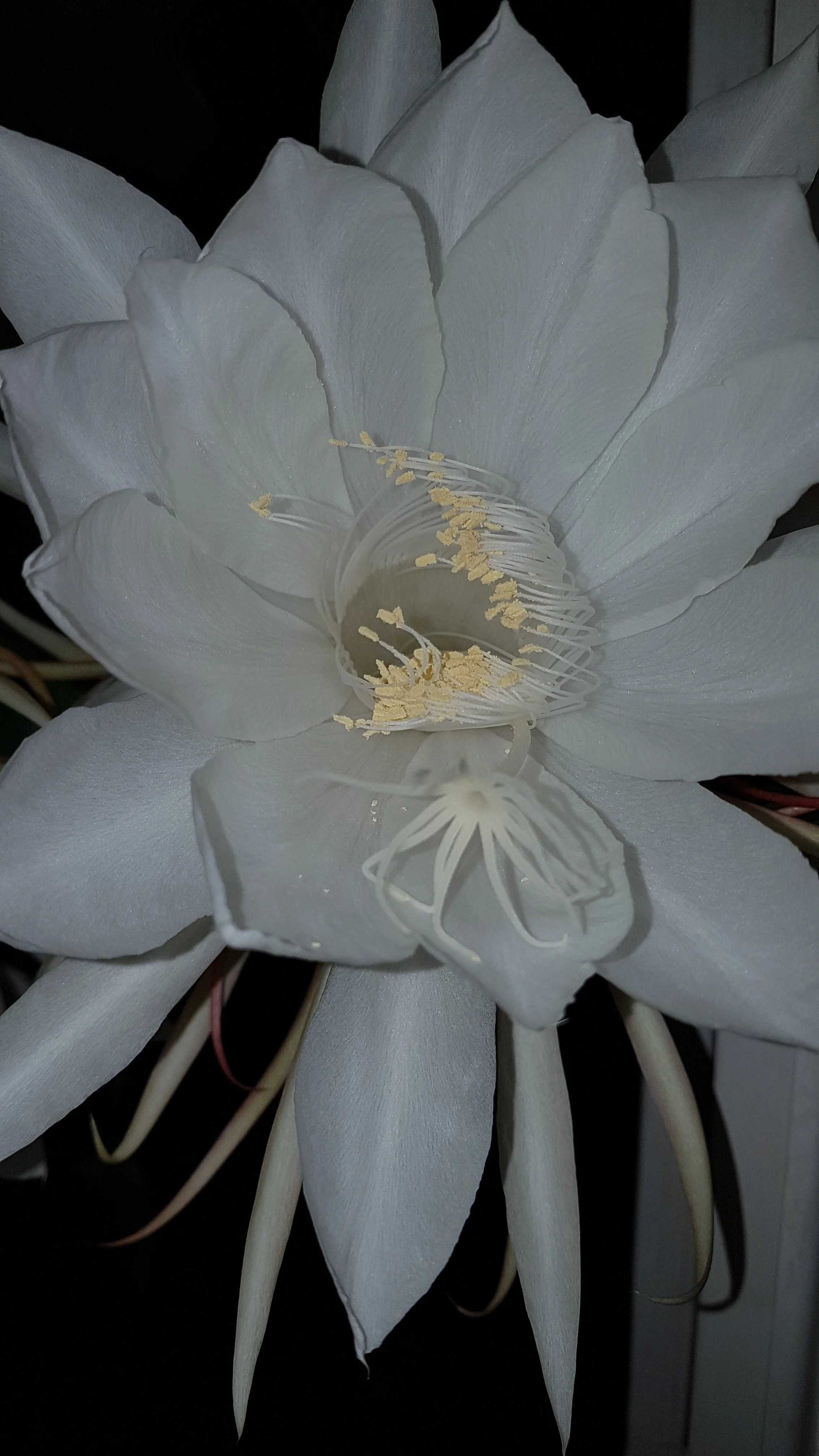 20190613_231811.webp