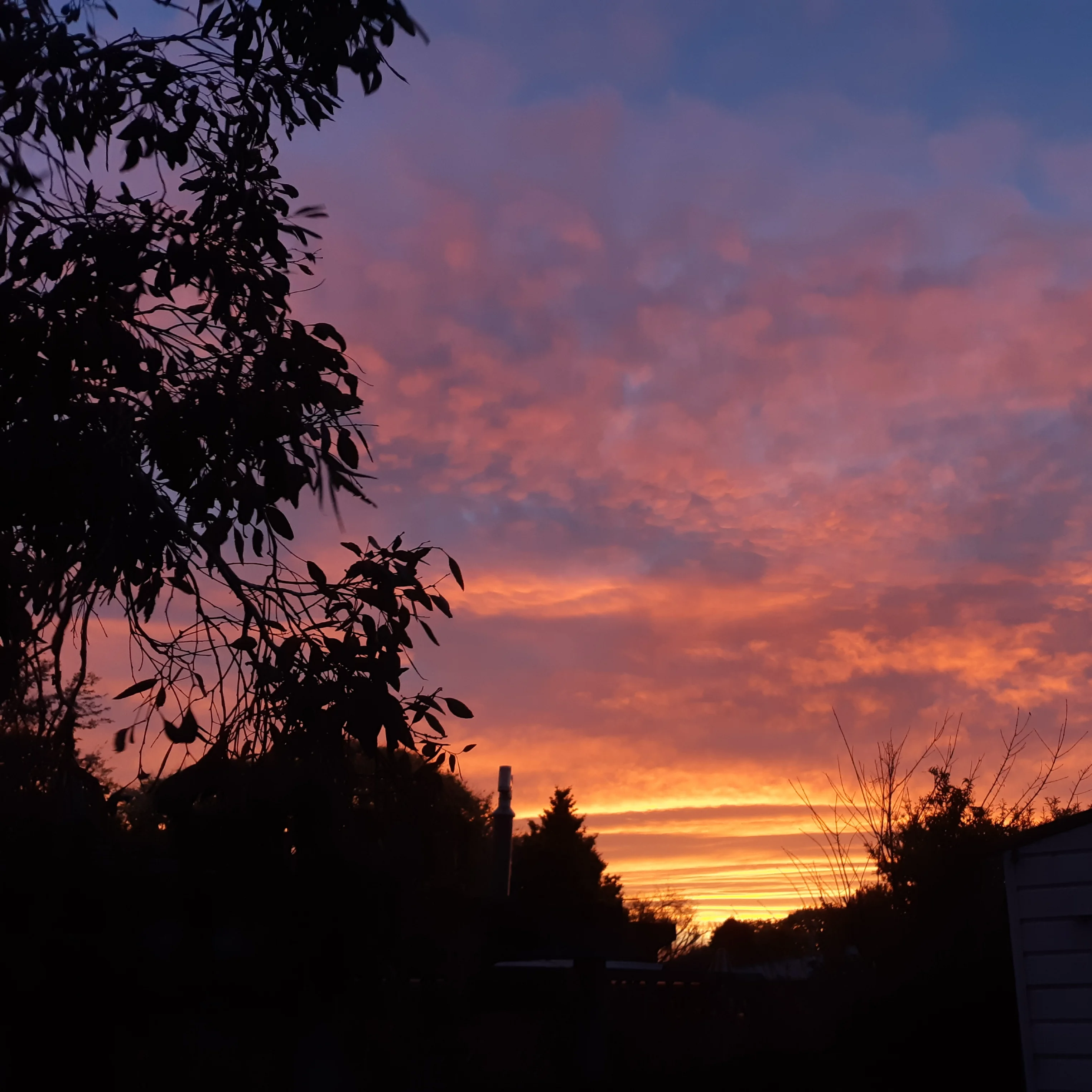 20190629_150714.webp