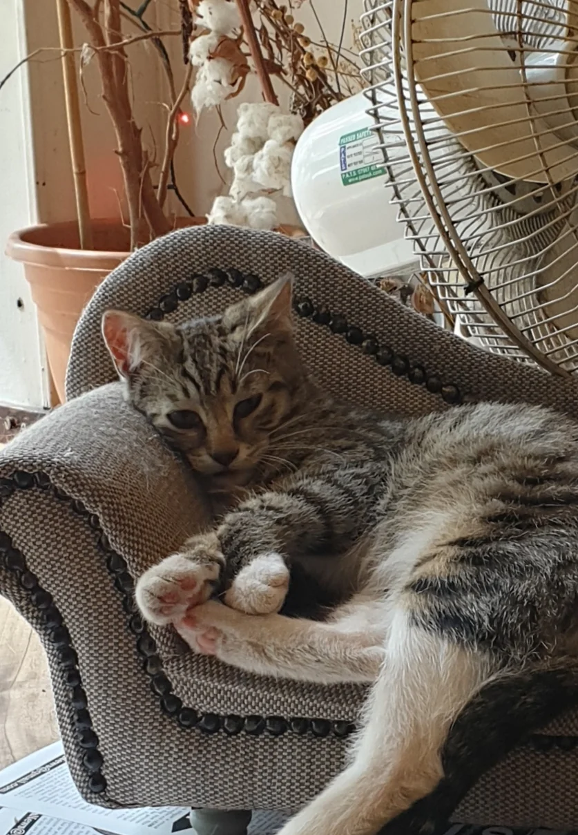 20190708_232521.webp