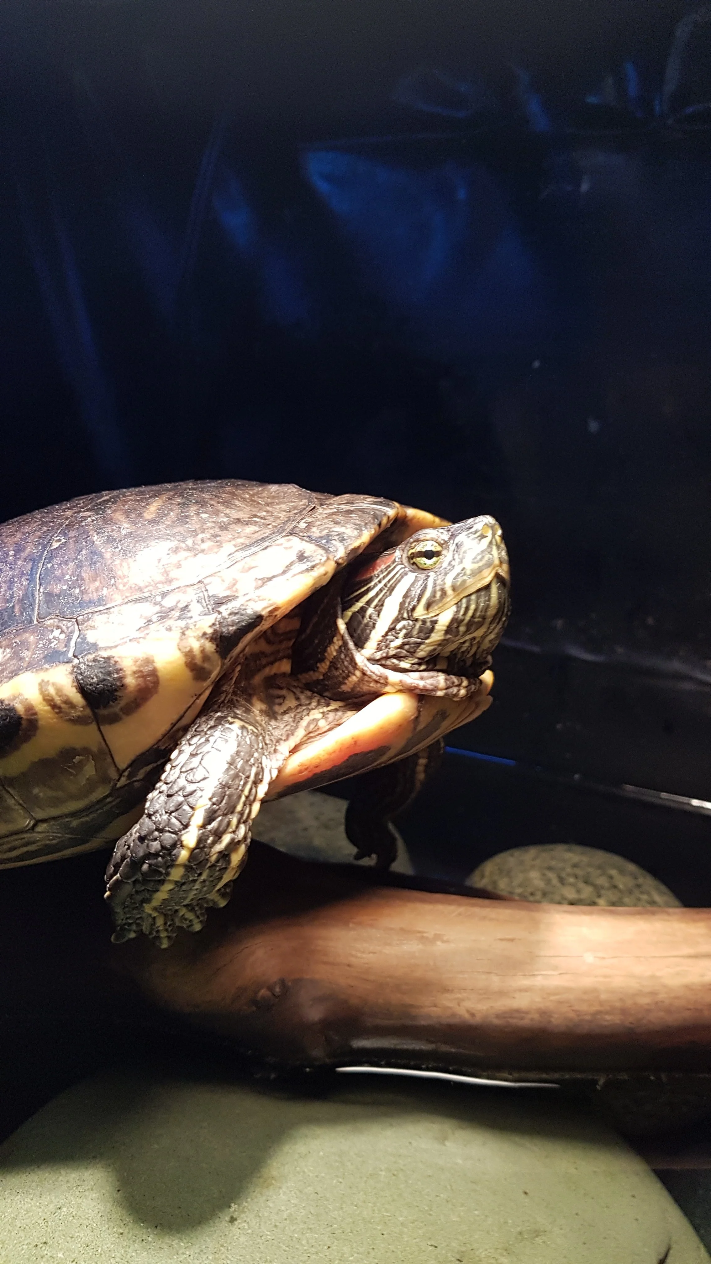 20190720_150428.webp