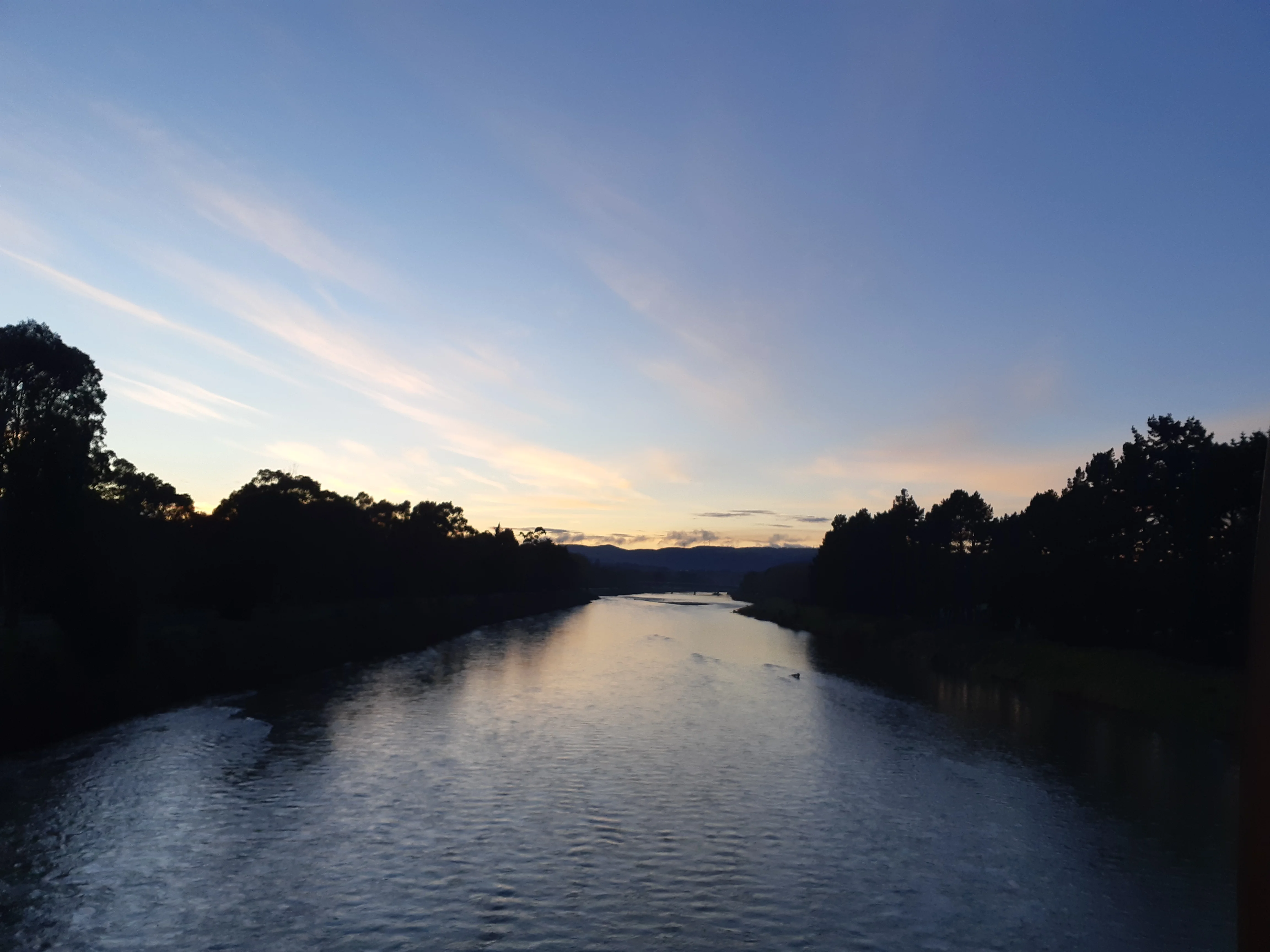 20190726_072929.webp