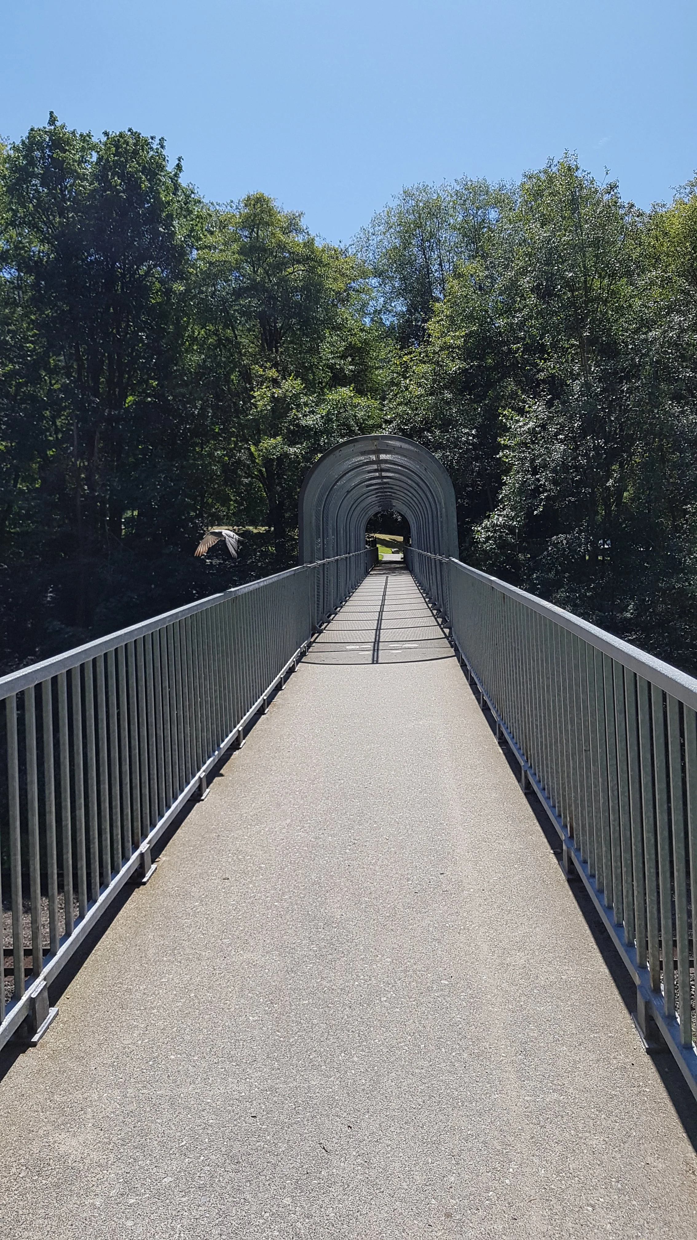 20190726_141016.webp