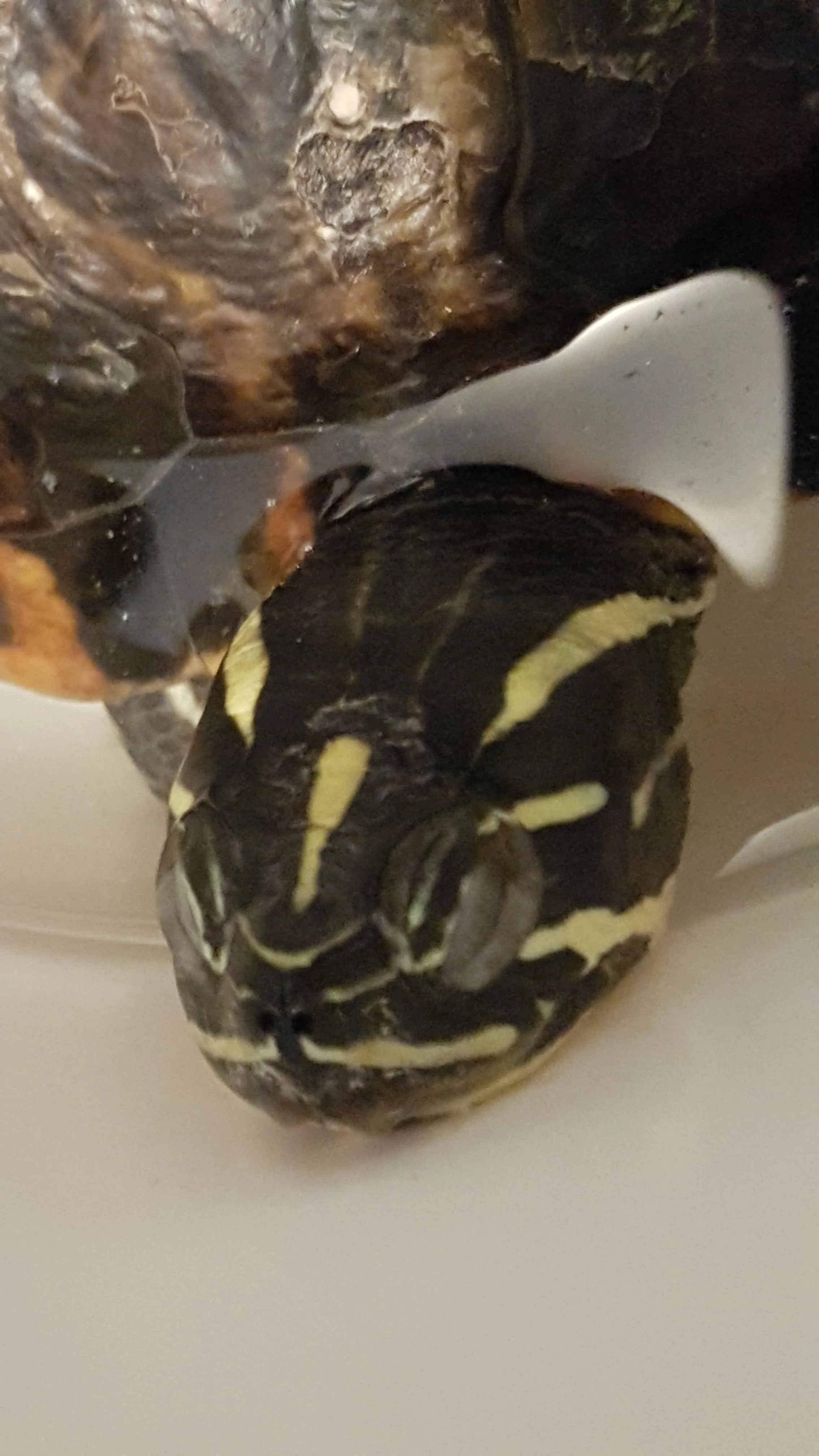 20190829_180349.webp