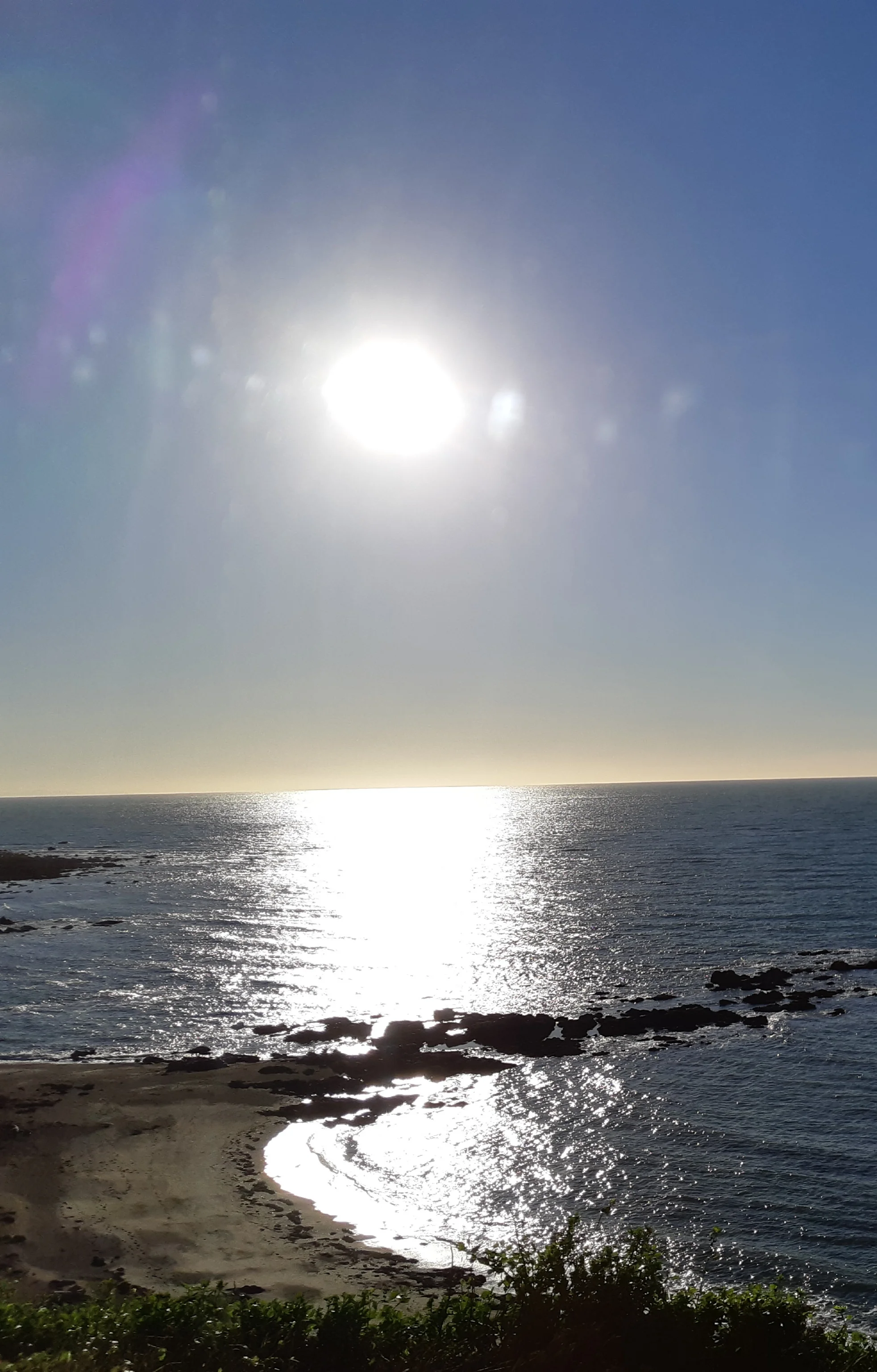 20190903_105553.webp