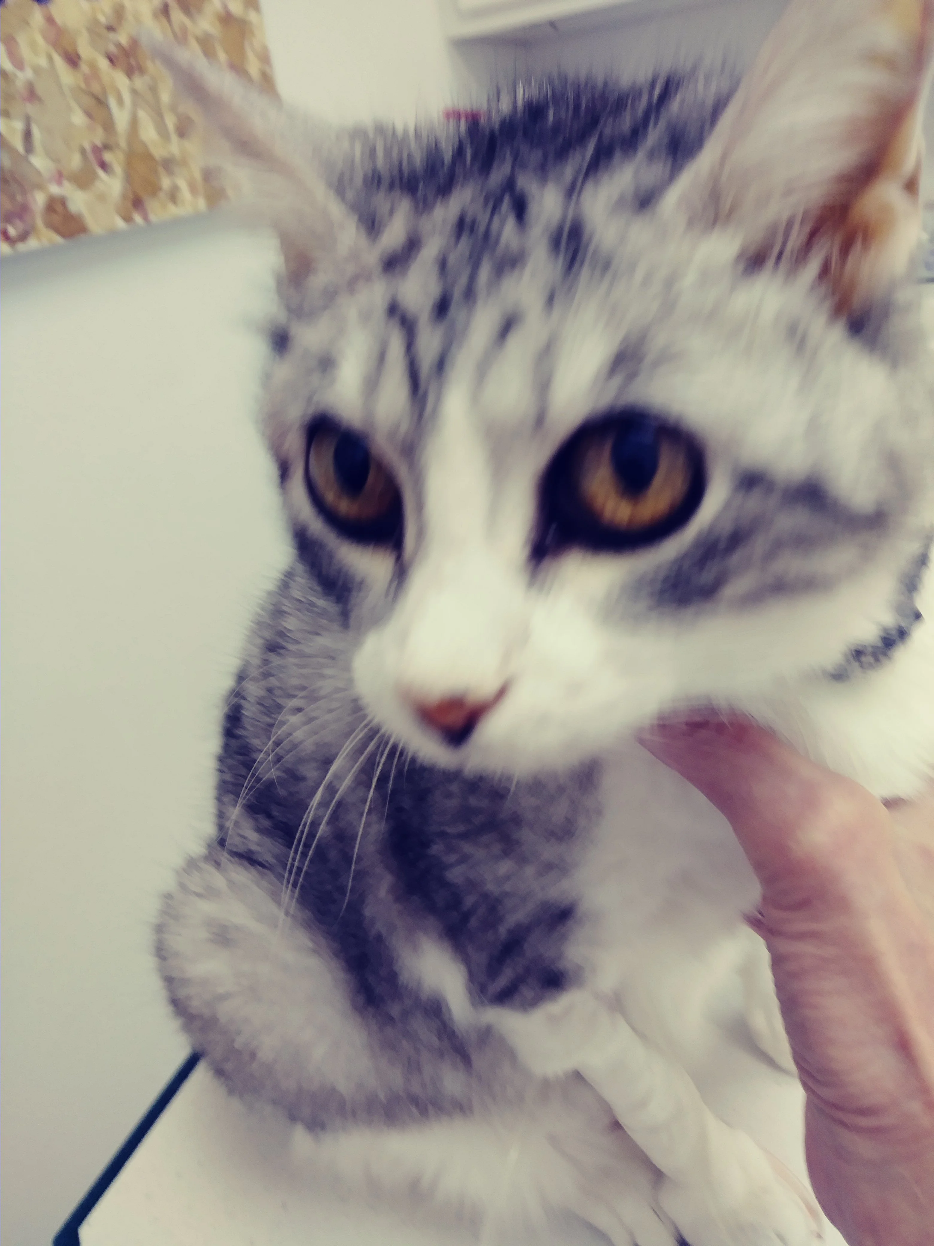 20191005_103014_Film1.webp