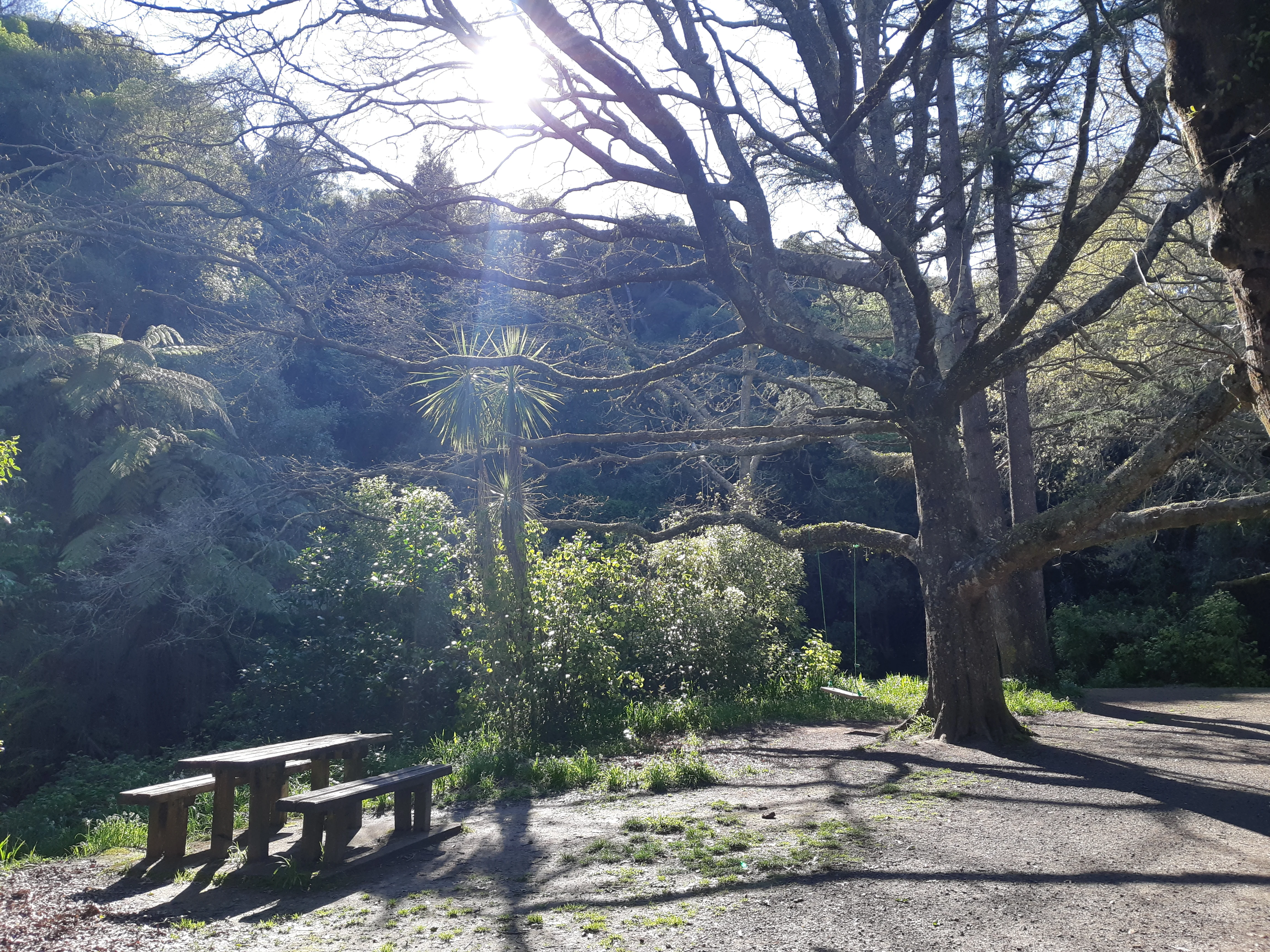 20191007_092955.webp