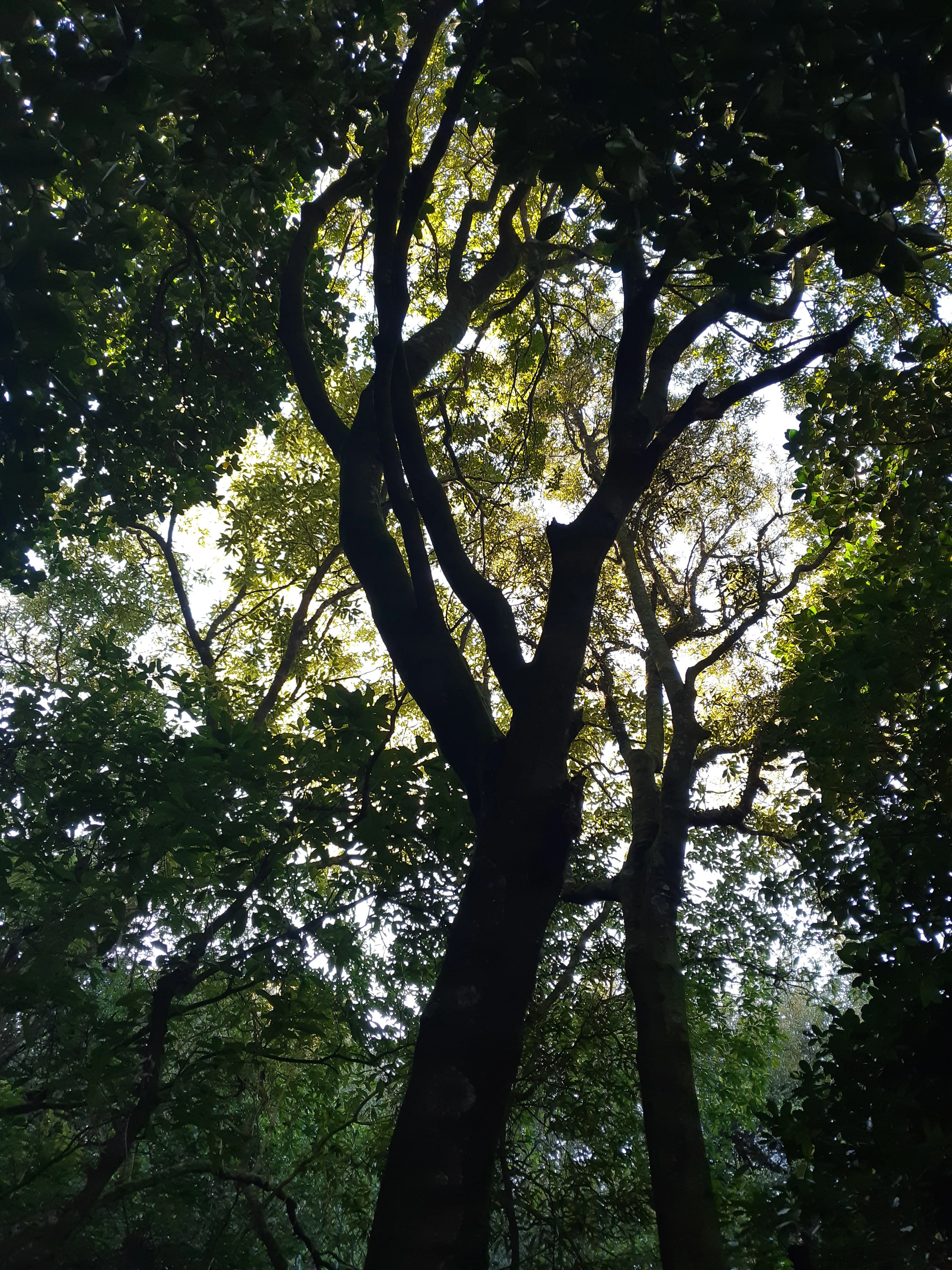20191007_093621.webp