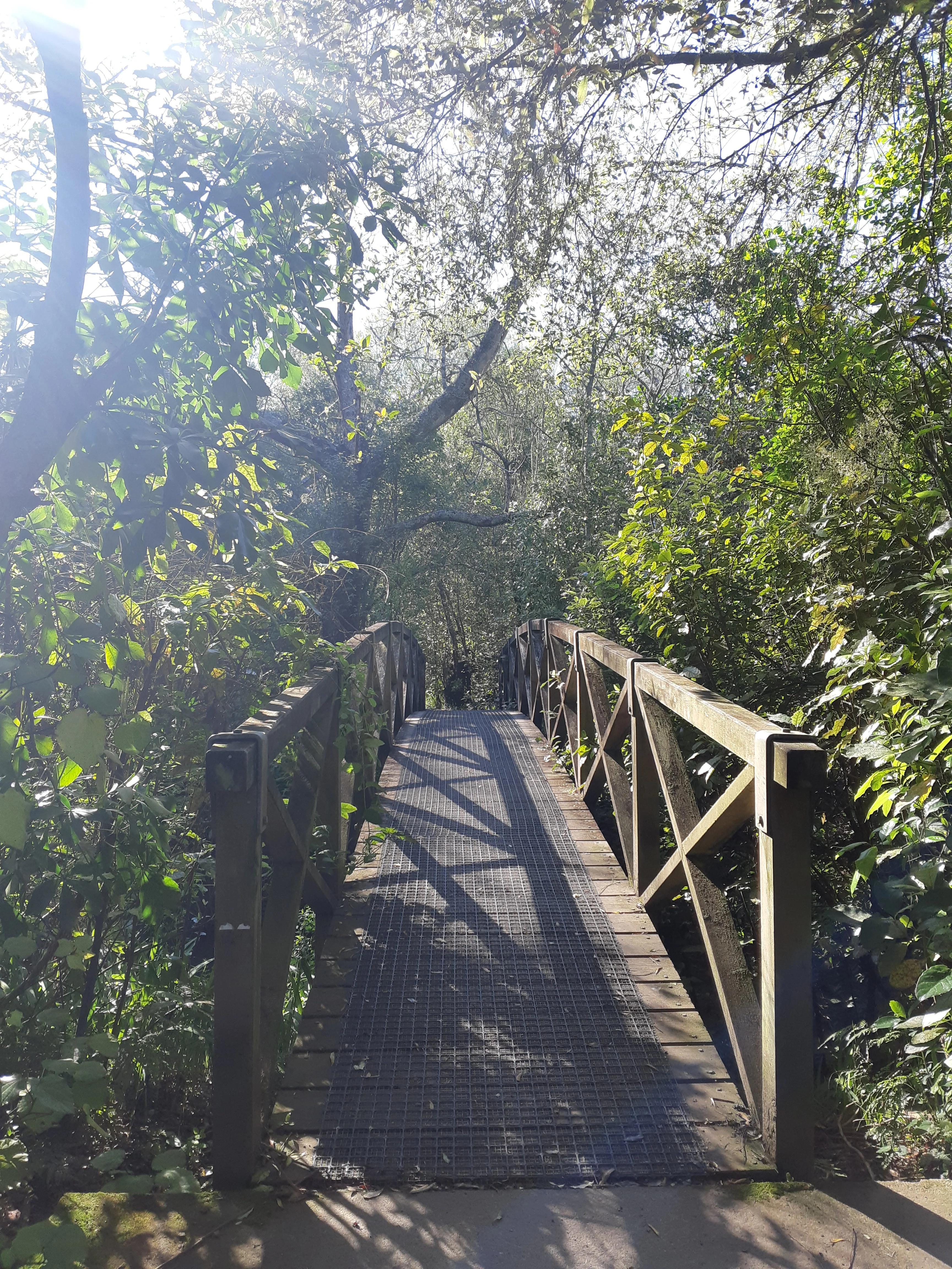 20191007_094159.webp