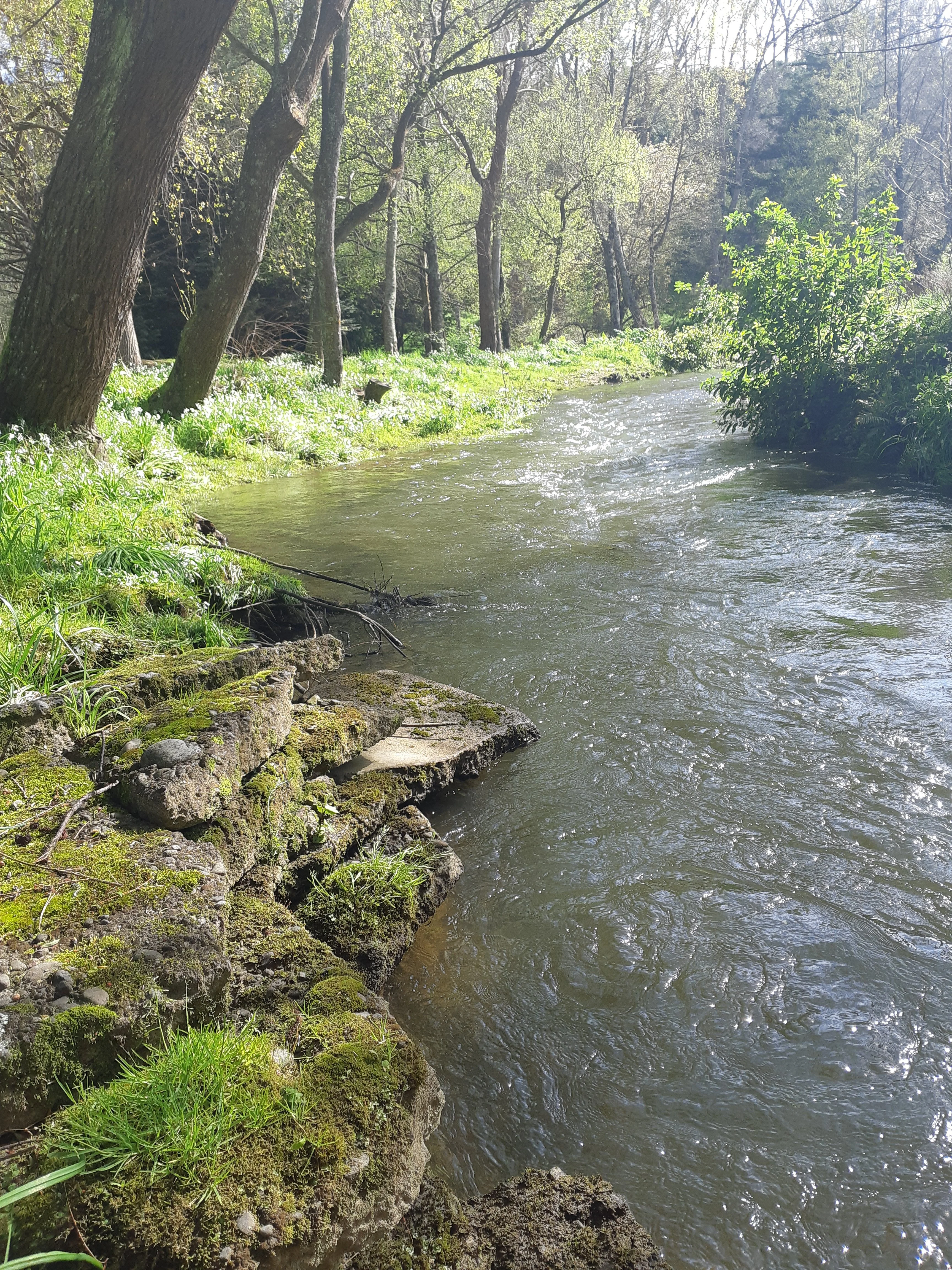 20191007_101035.webp