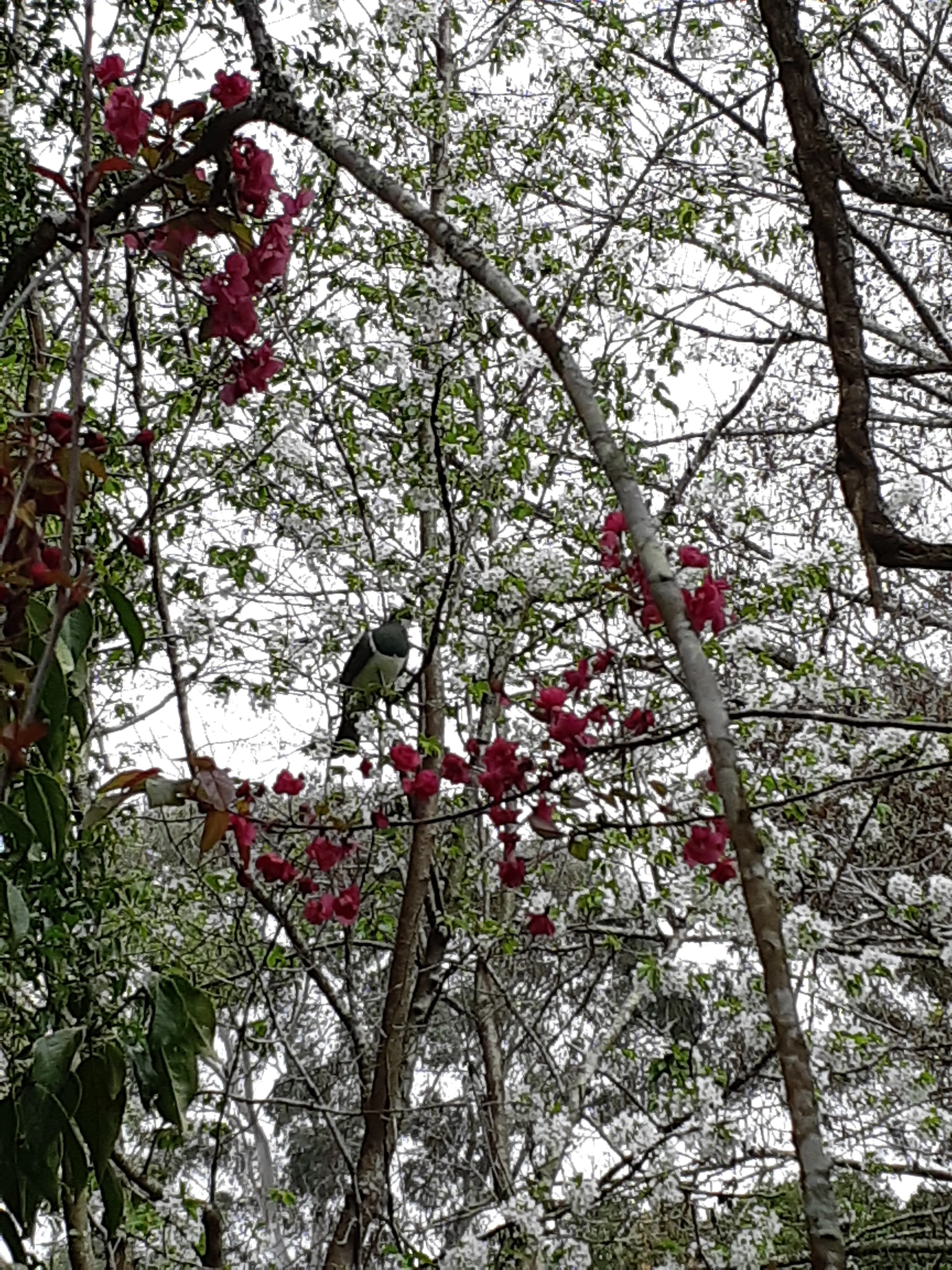 20191008_143248.webp