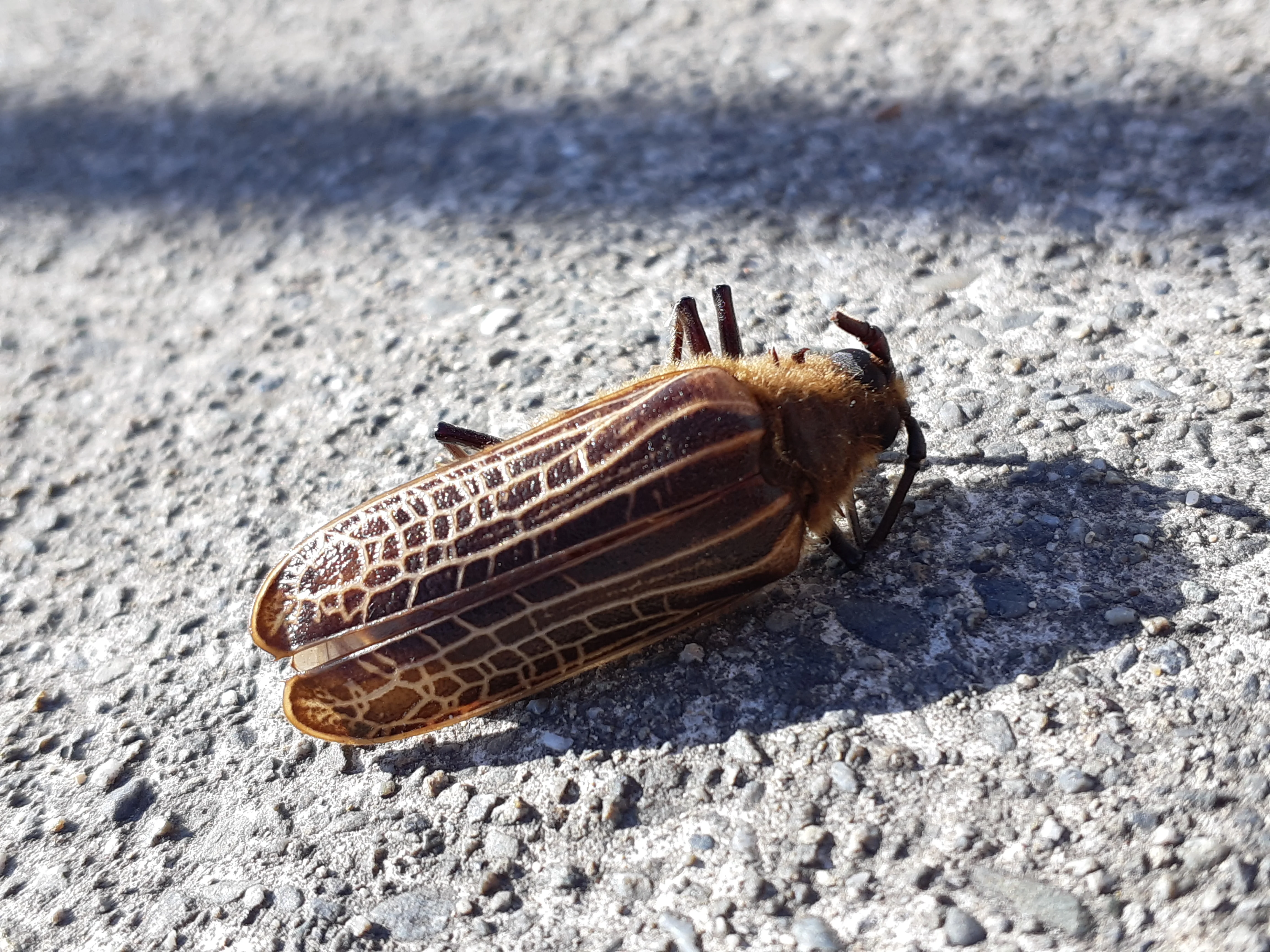 20191013_091612.webp