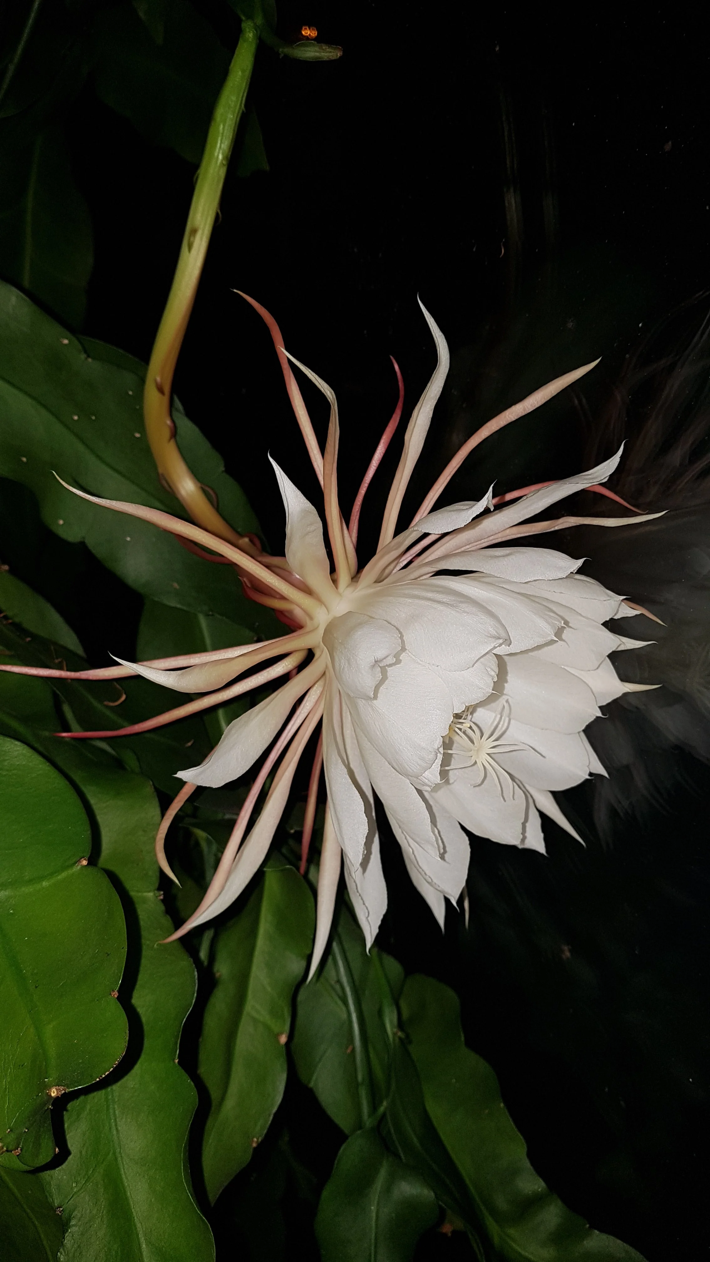 20191016_214757.webp