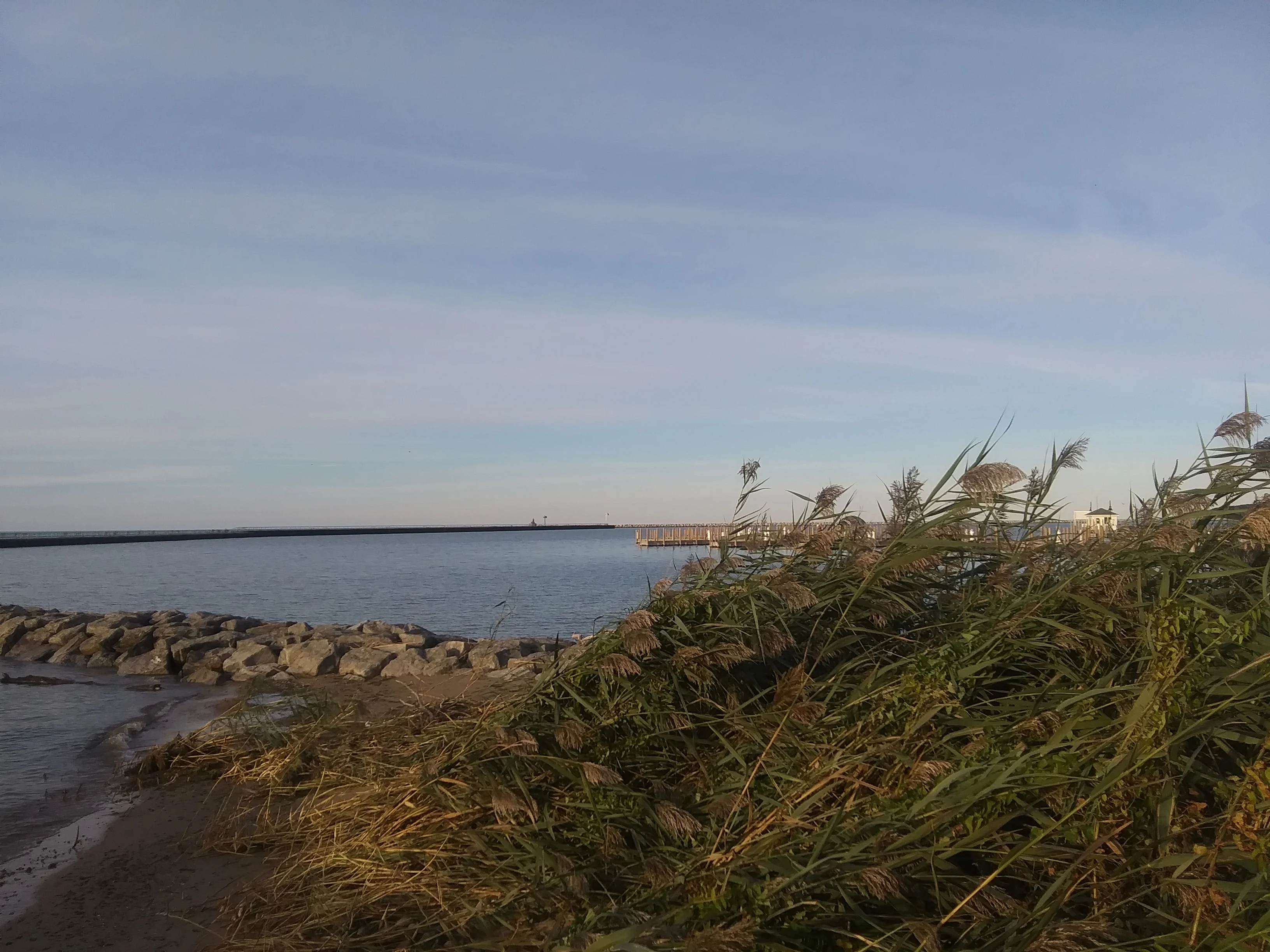 20191018_174444.webp