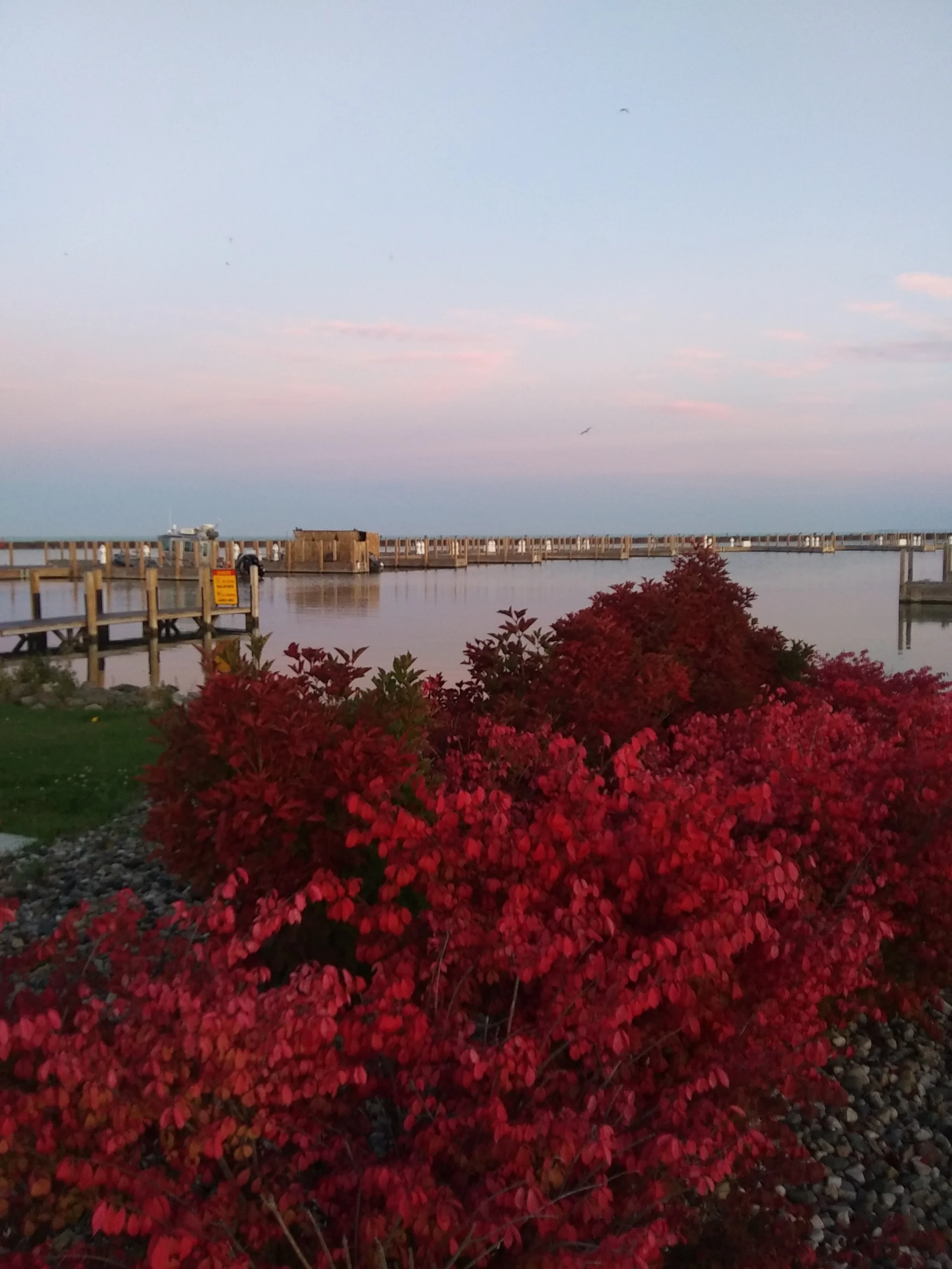 20191019_074345.webp