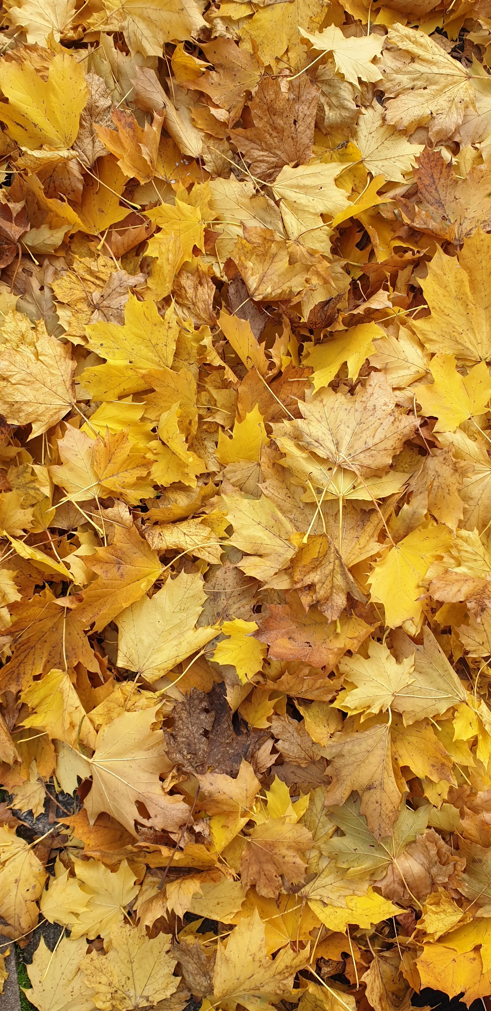 20191120_143536.webp
