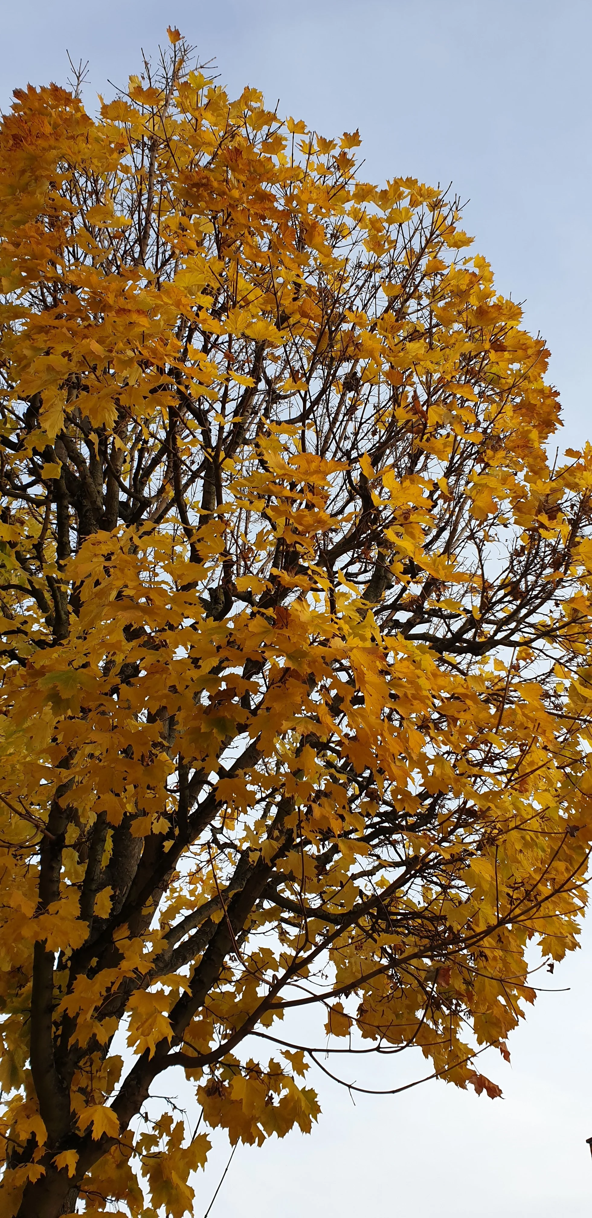 20191120_143559.webp