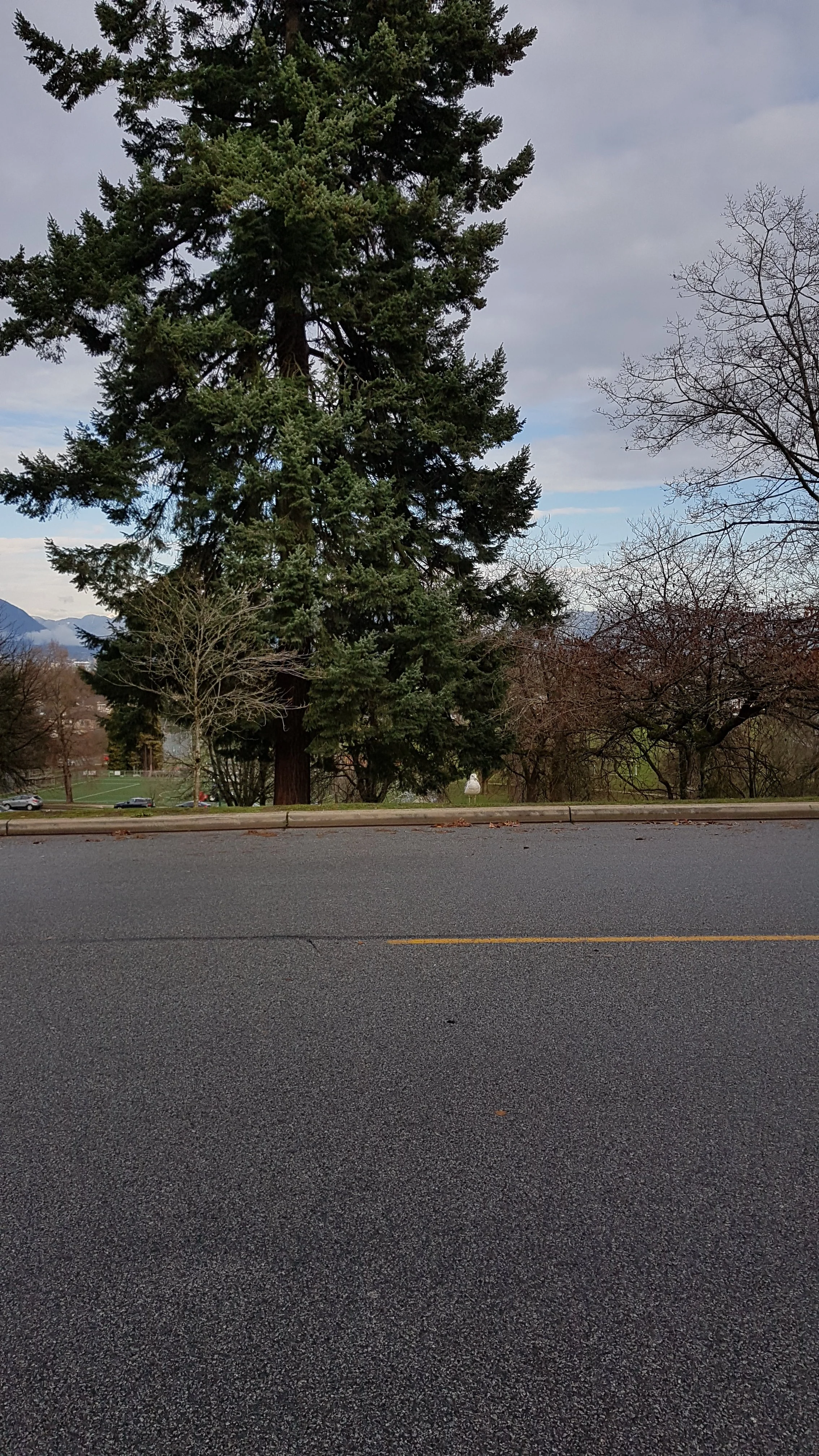 20191126_131208.webp