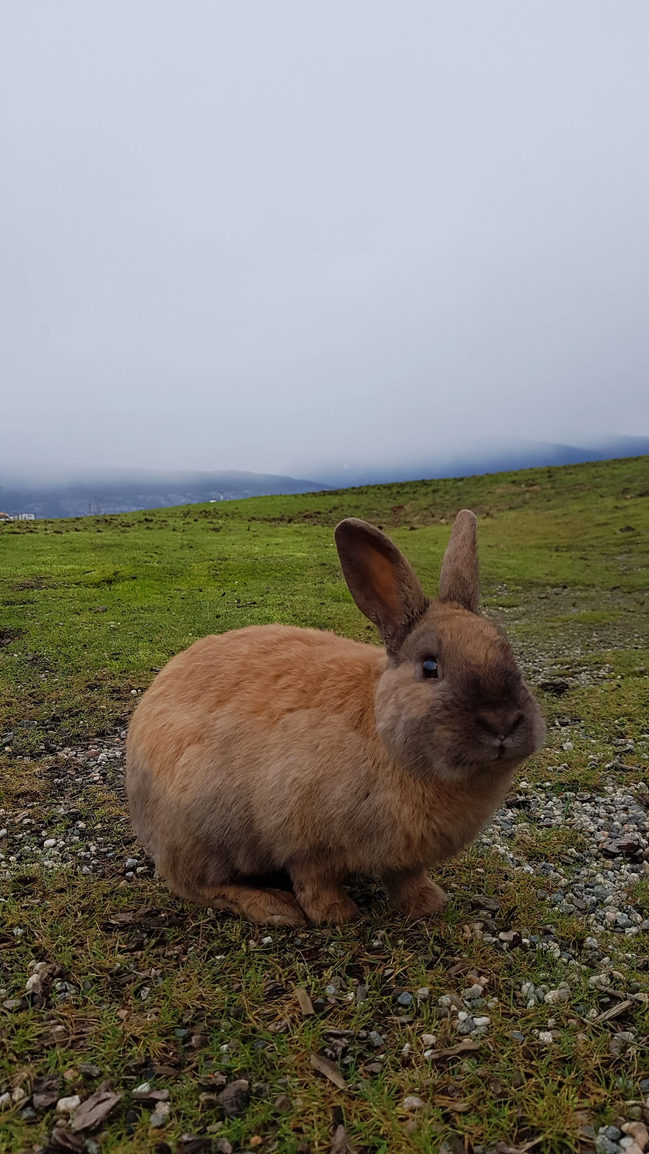 20191224_133133.webp