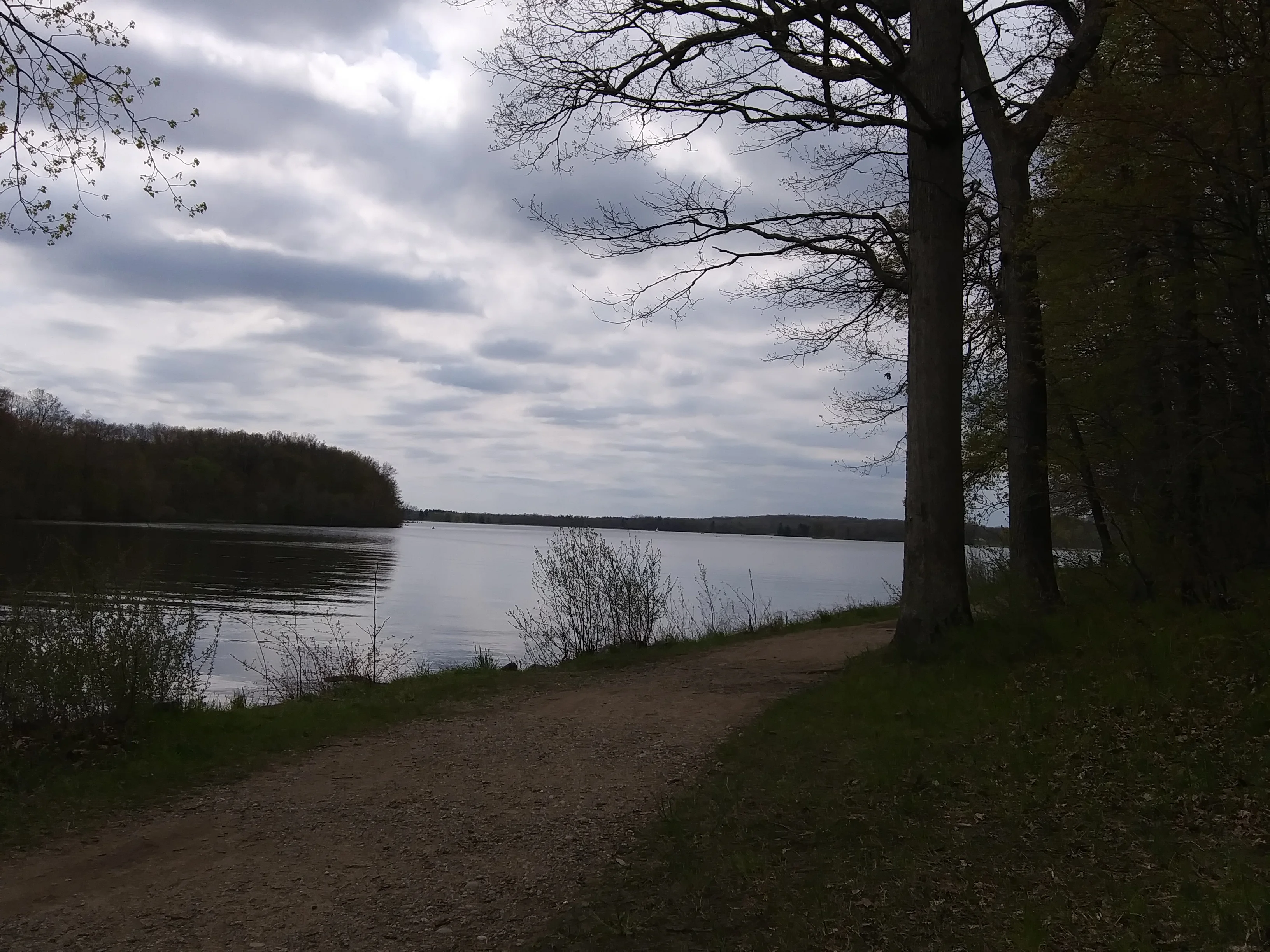20200516_144918.webp