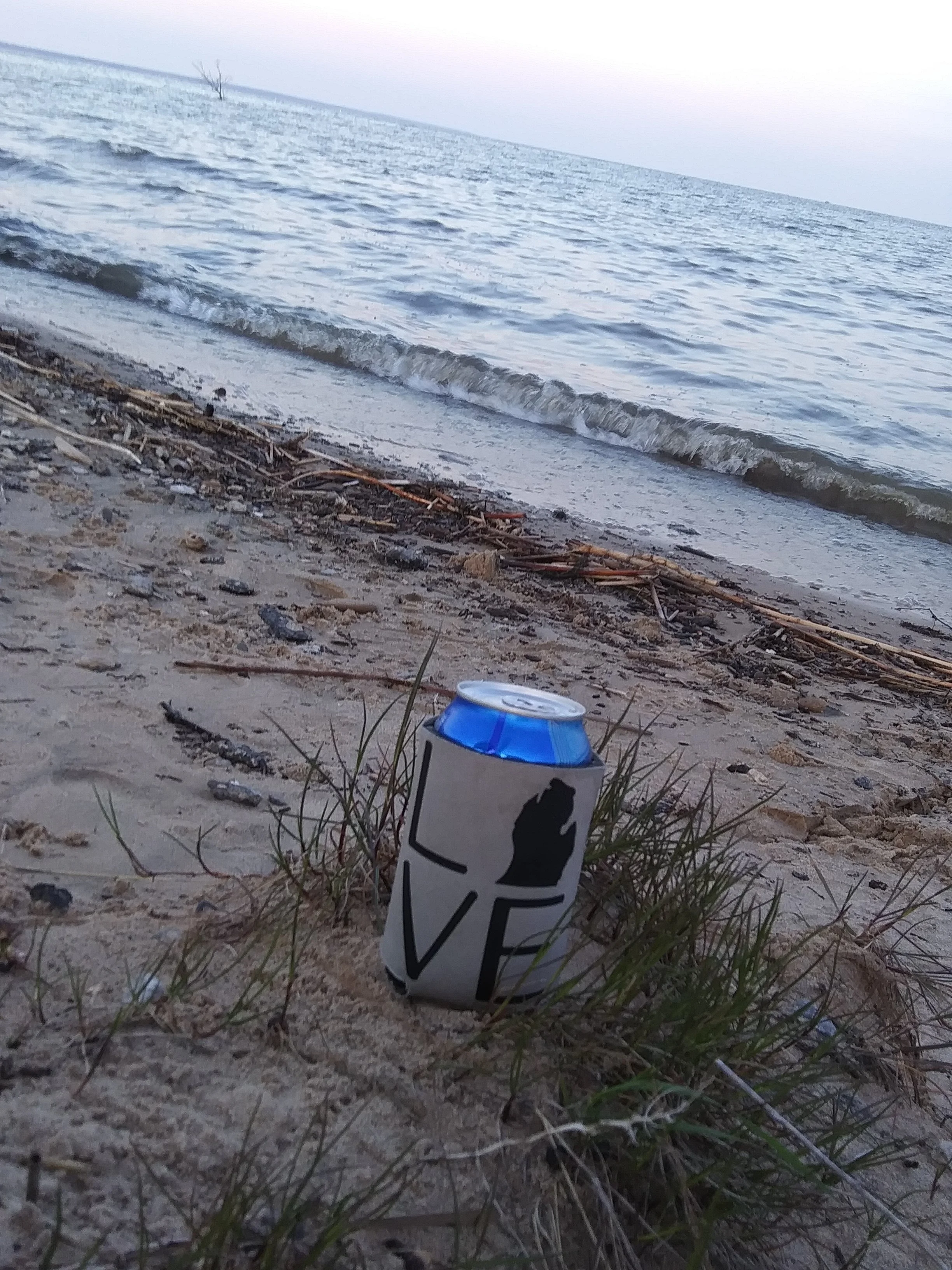 20200523_205458.webp