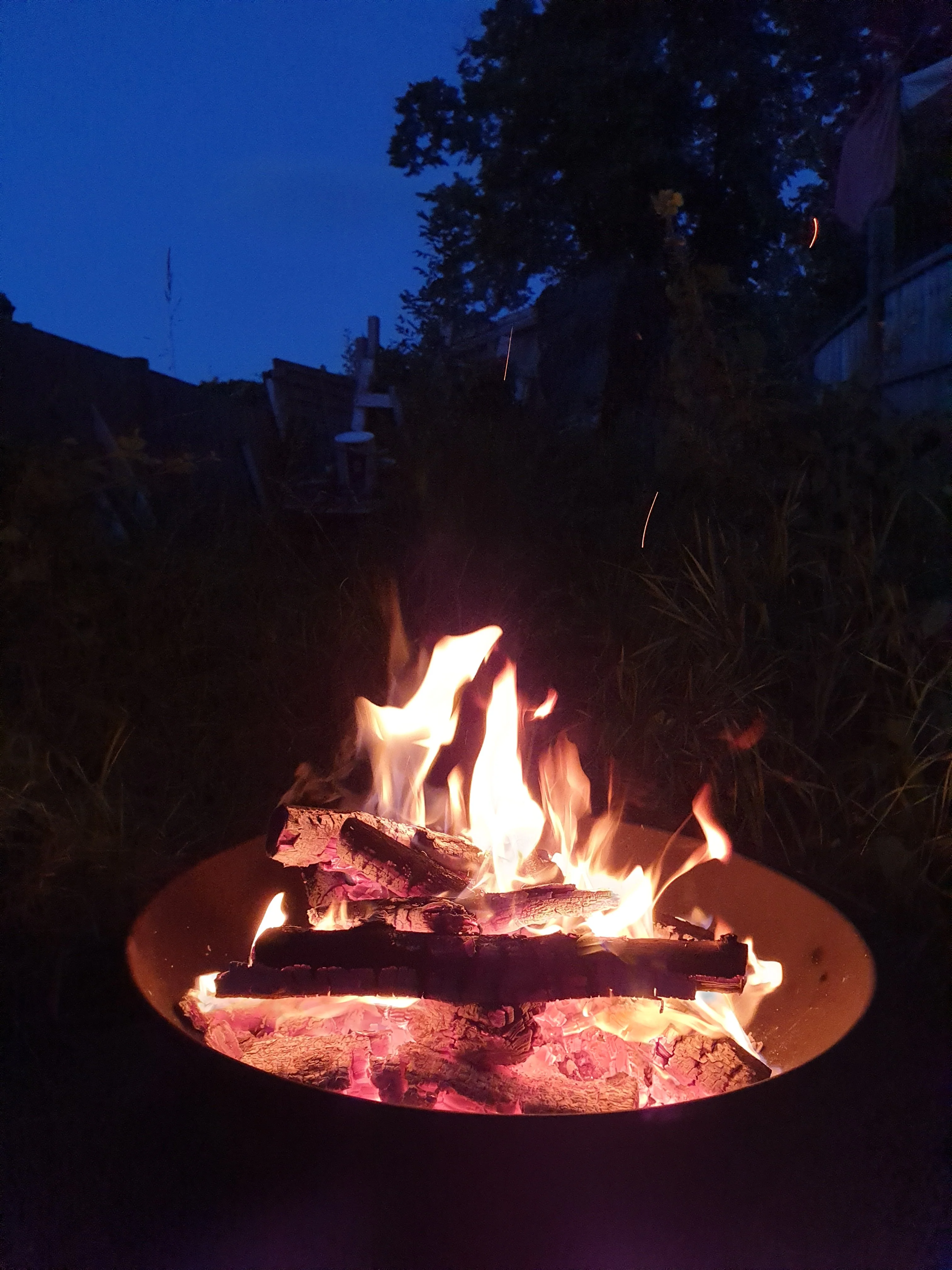 20200801_212338.webp