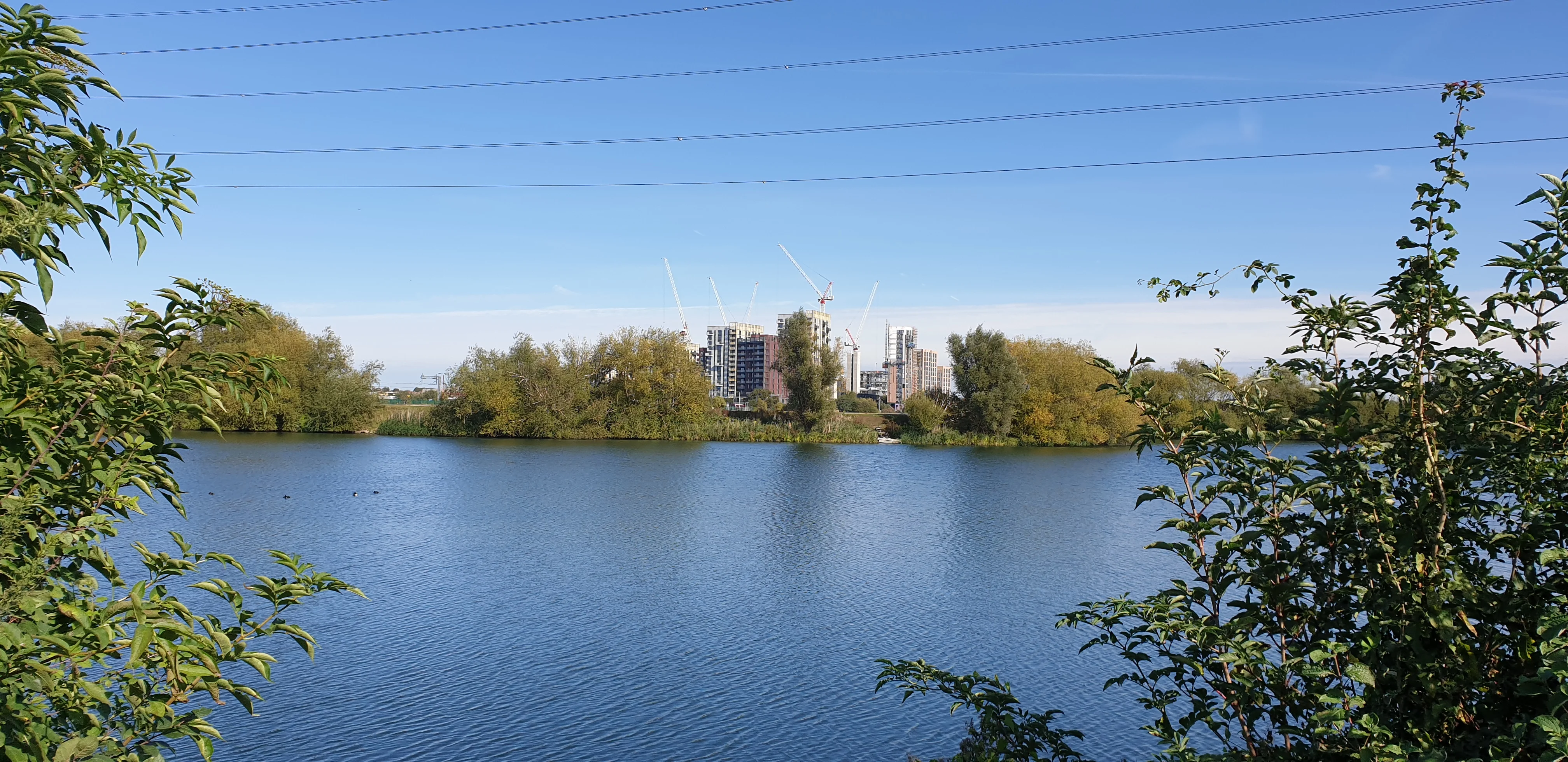 20200928_135331.webp