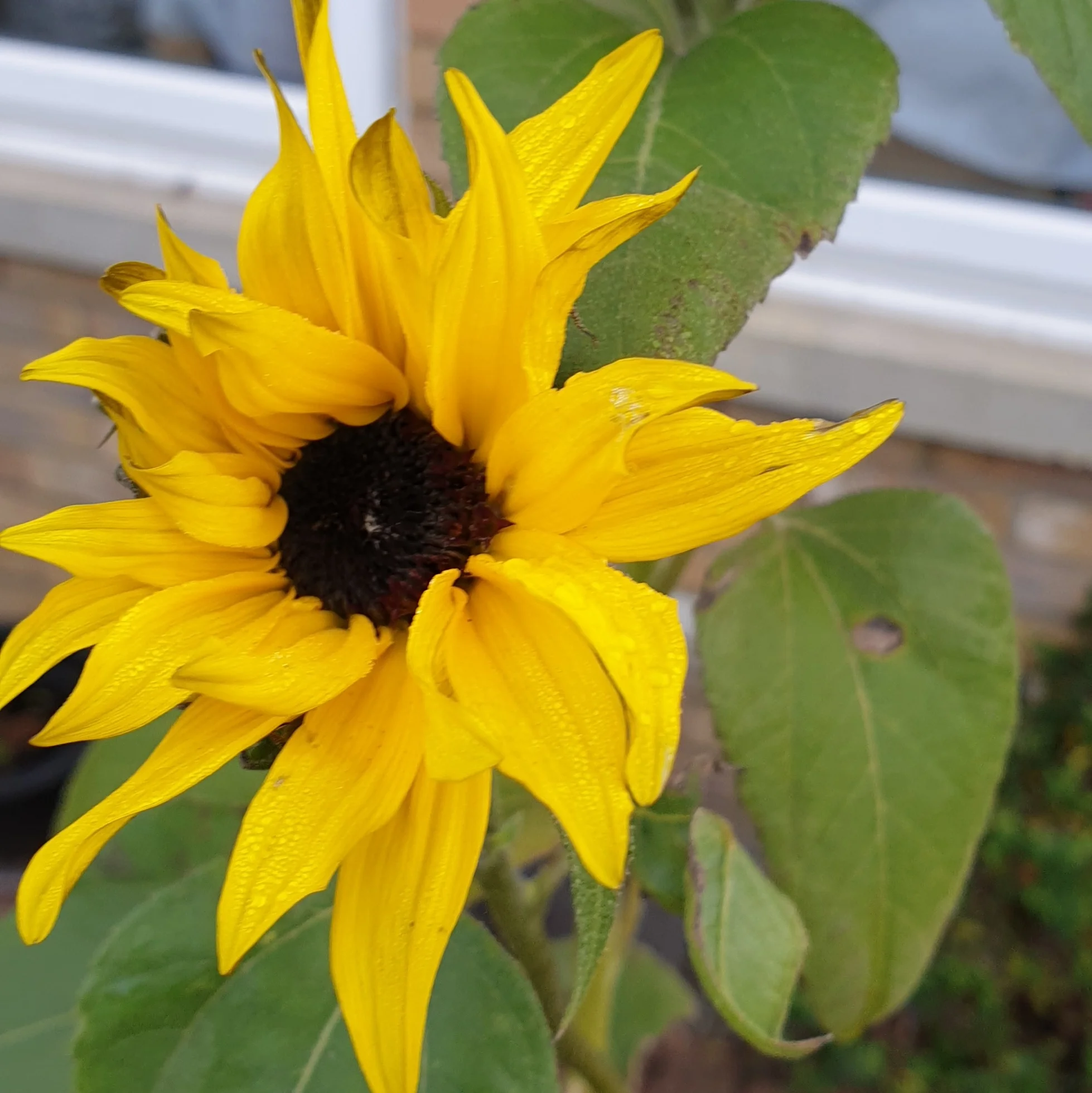 20201201_085212.webp